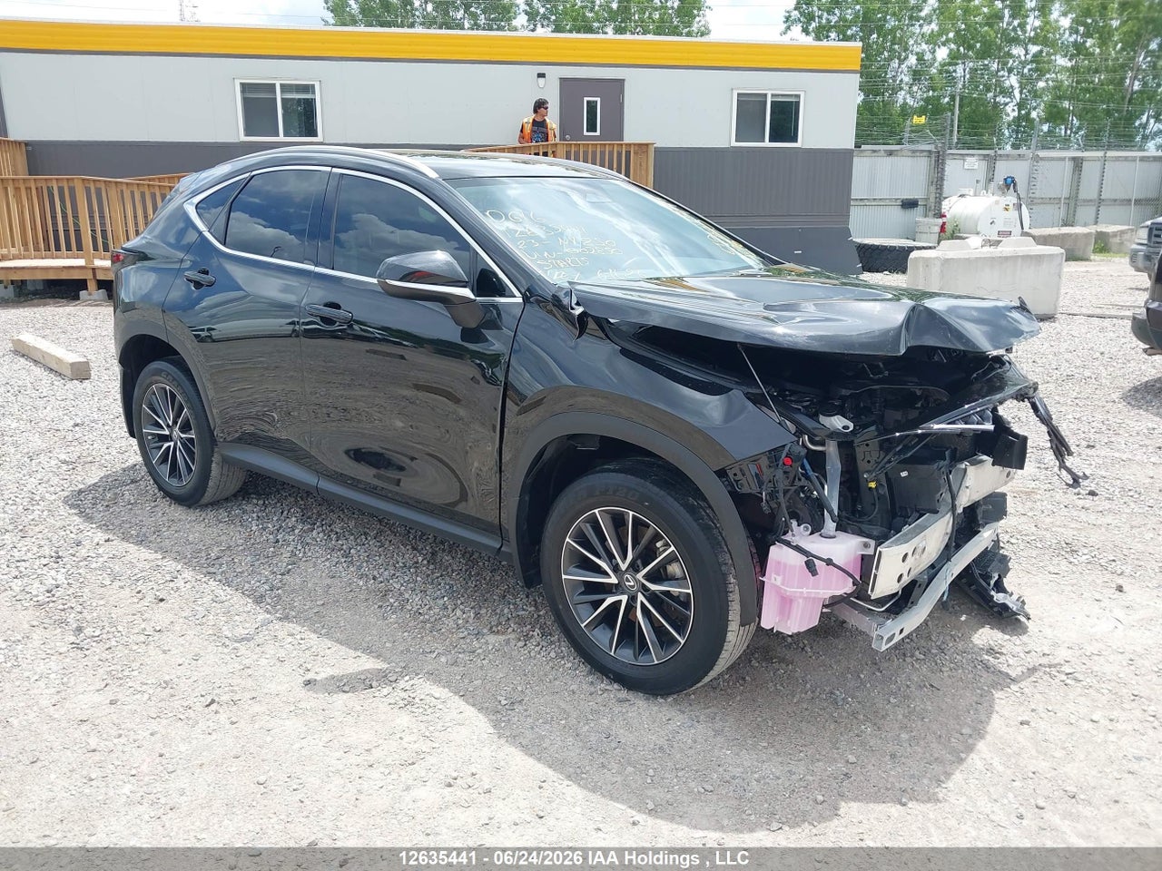 2023 LEXUS NX 250 thumbnail 2