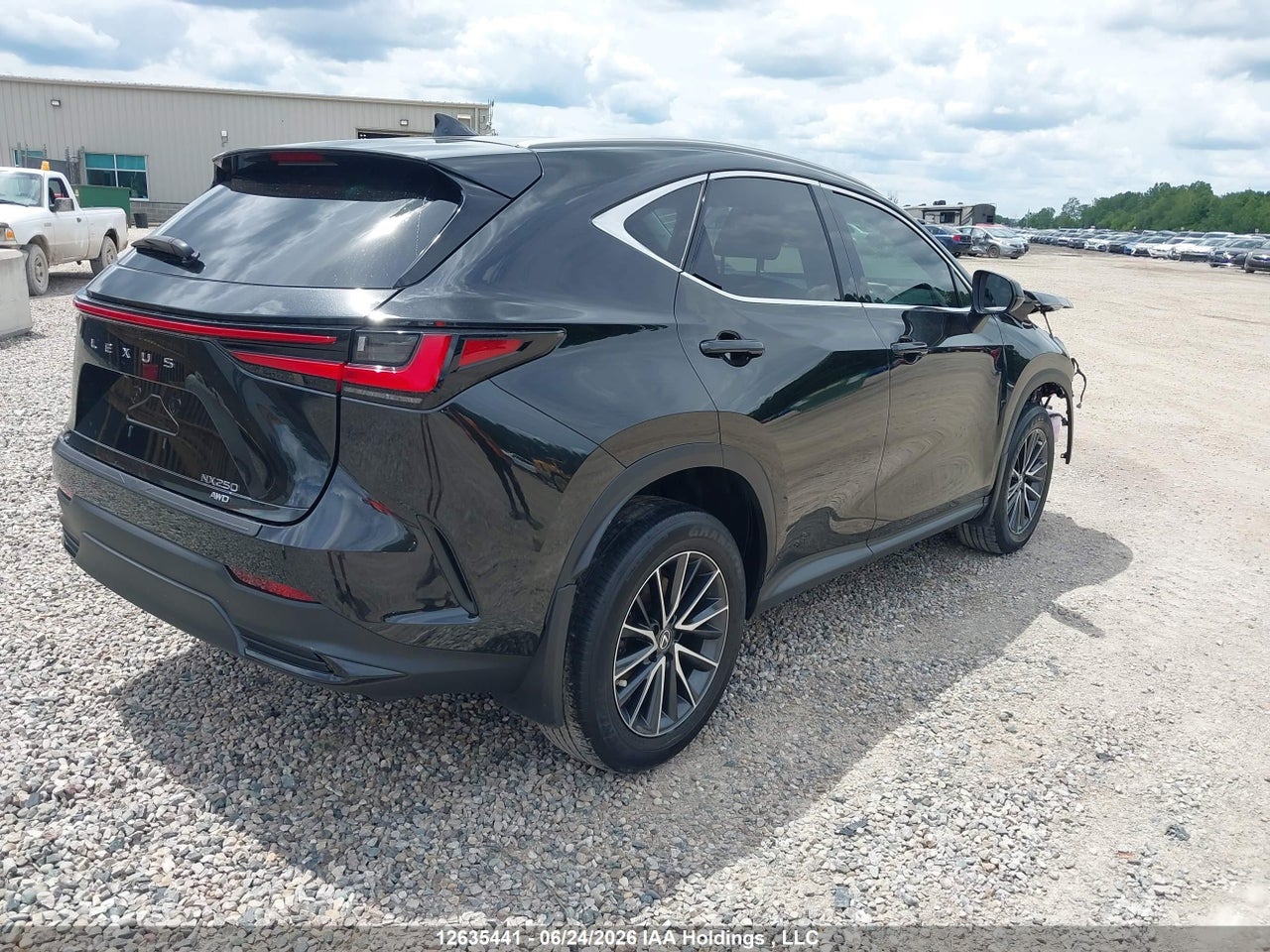 2023 LEXUS NX 250 thumbnail 5