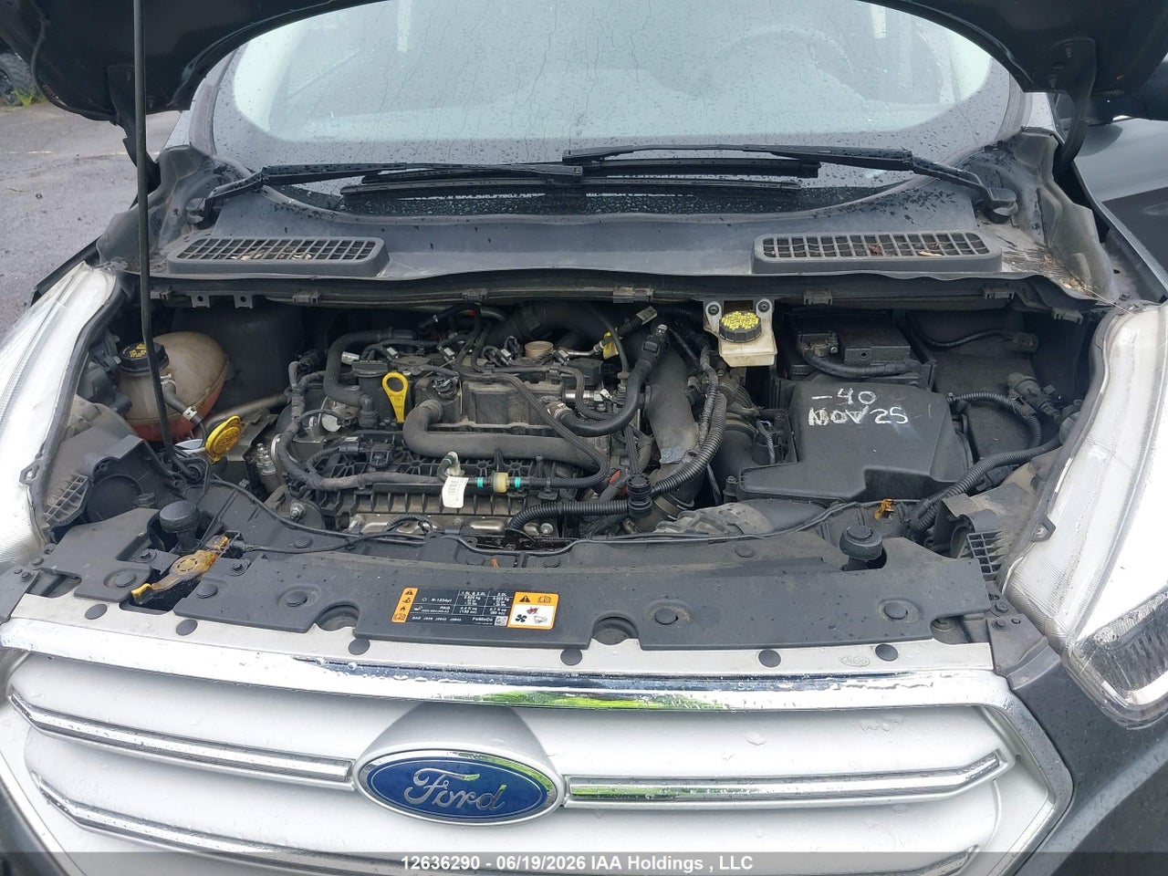 2019 FORD ESCAPE SE thumbnail 11