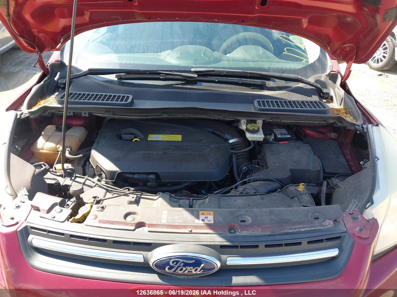 2014 FORD ESCAPE SE thumbnail 11