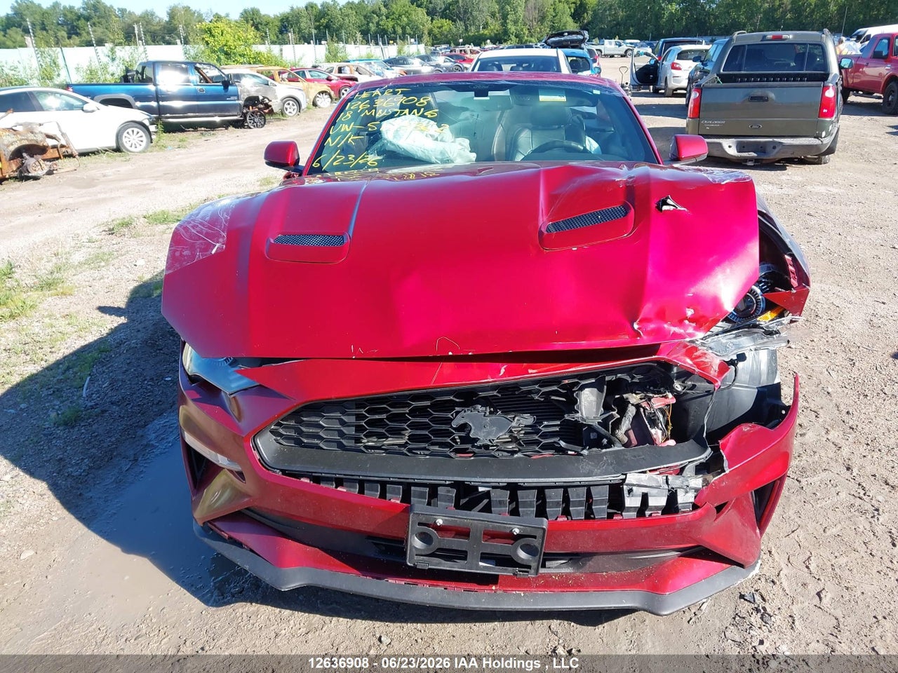 2018 FORD MUSTANG thumbnail 12