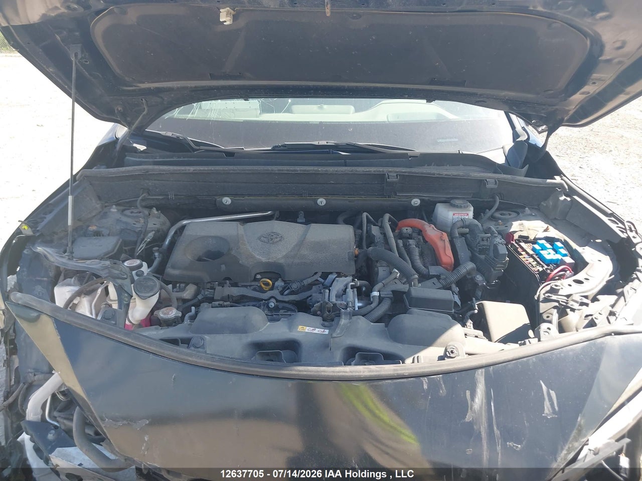2021 TOYOTA VENZA LE/XLE/LIMITED thumbnail 11