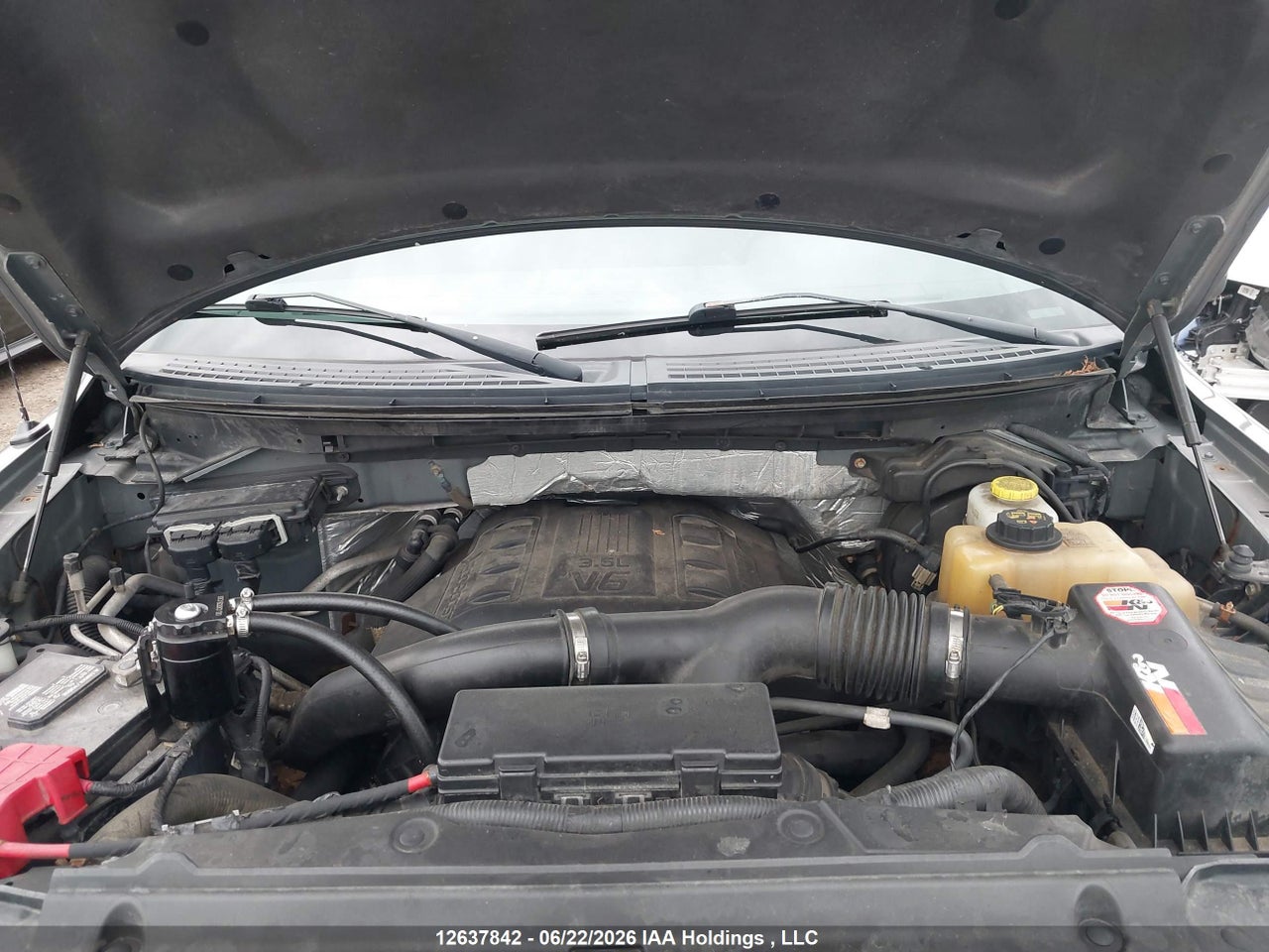 2013 FORD F-150 thumbnail 11