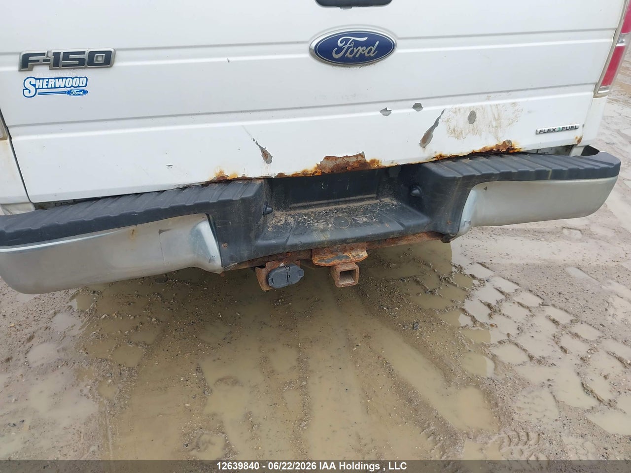 2013 FORD F-150 FX4/KING RANCH/LARIAT/PLATINUM/XLT thumbnail 7