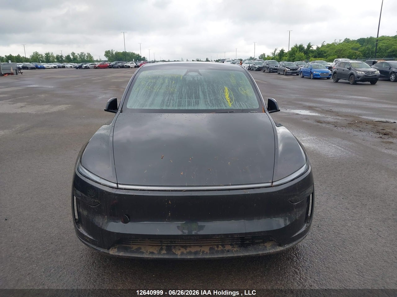 2026 TESLA MODEL Y thumbnail 12