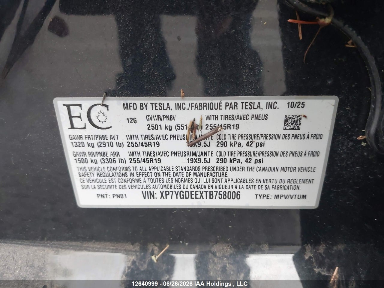 2026 TESLA MODEL Y thumbnail 10