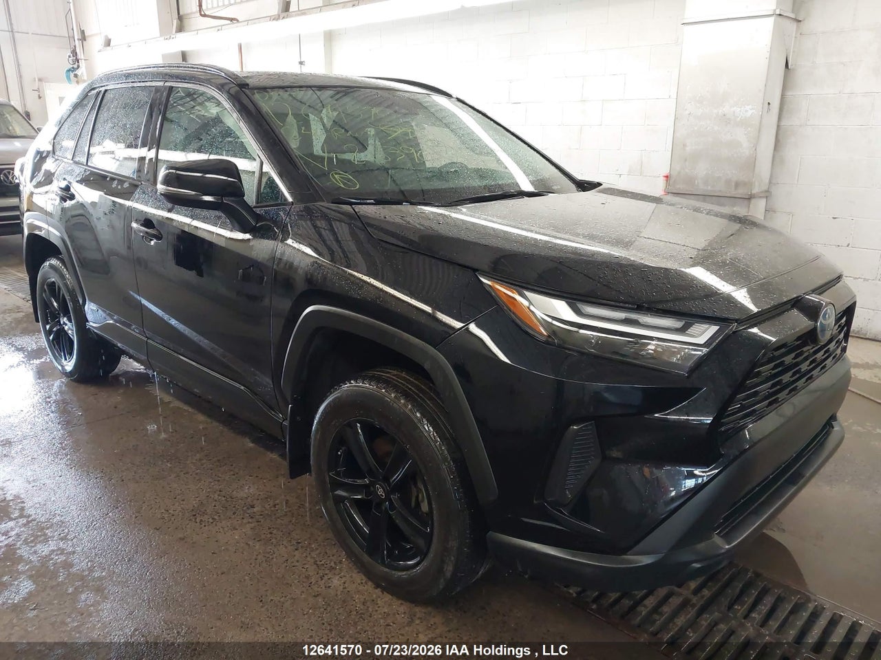2024 TOYOTA RAV4 XLE/WOODLAND EDITION thumbnail 2