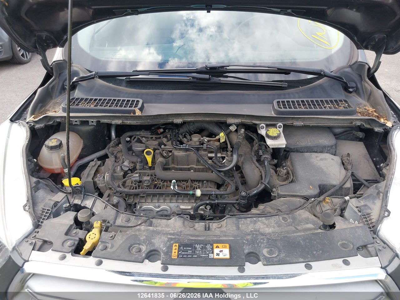 2019 FORD ESCAPE SEL thumbnail 11