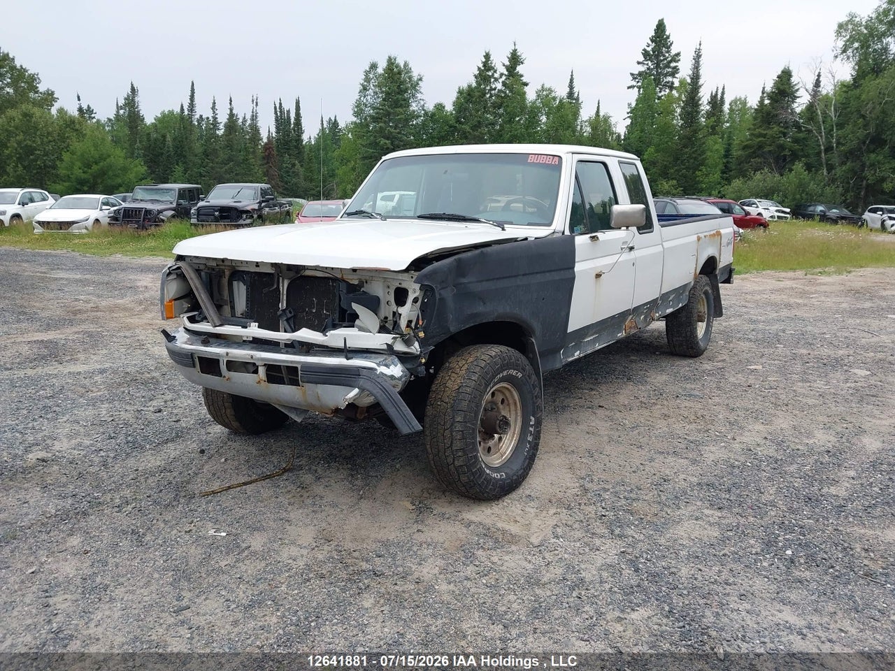 1996 FORD F250 thumbnail 3