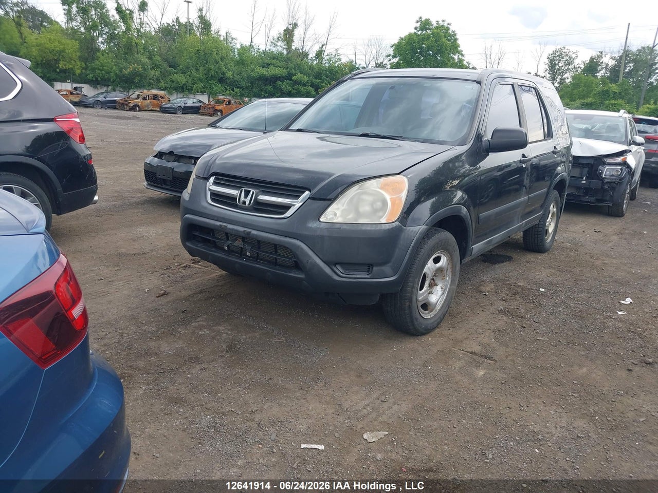 2002 HONDA CR-V LX thumbnail 3