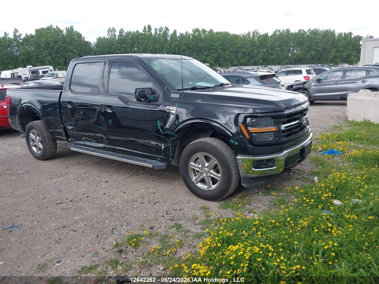 2025 FORD F-150 thumbnail 2