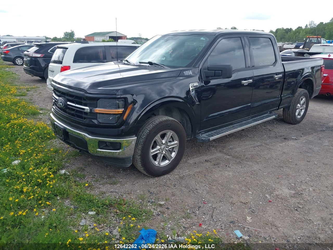 2025 FORD F-150 thumbnail 3