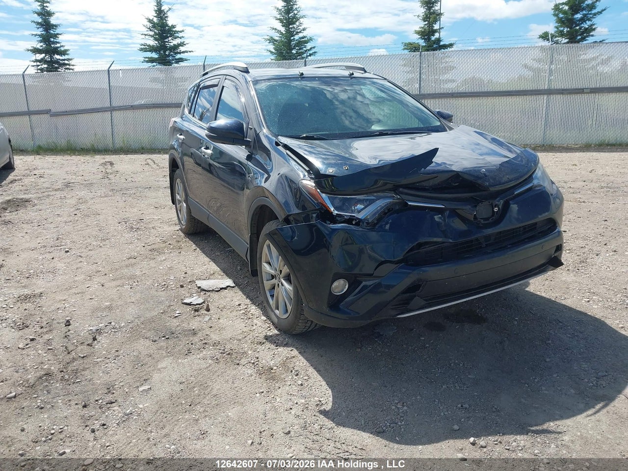 2018 TOYOTA RAV4 LIMITED thumbnail 2