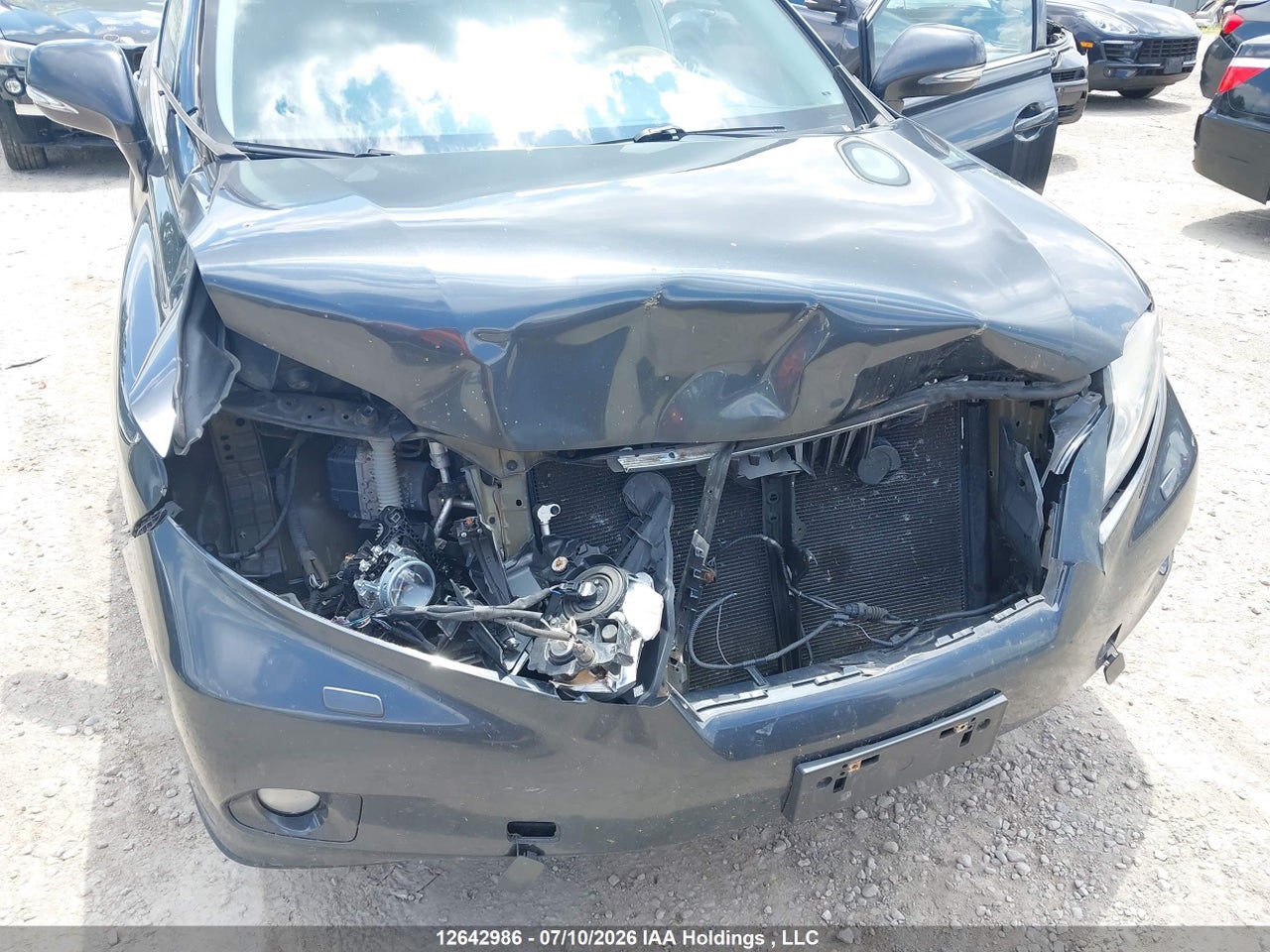 2010 LEXUS RX 350 thumbnail 7