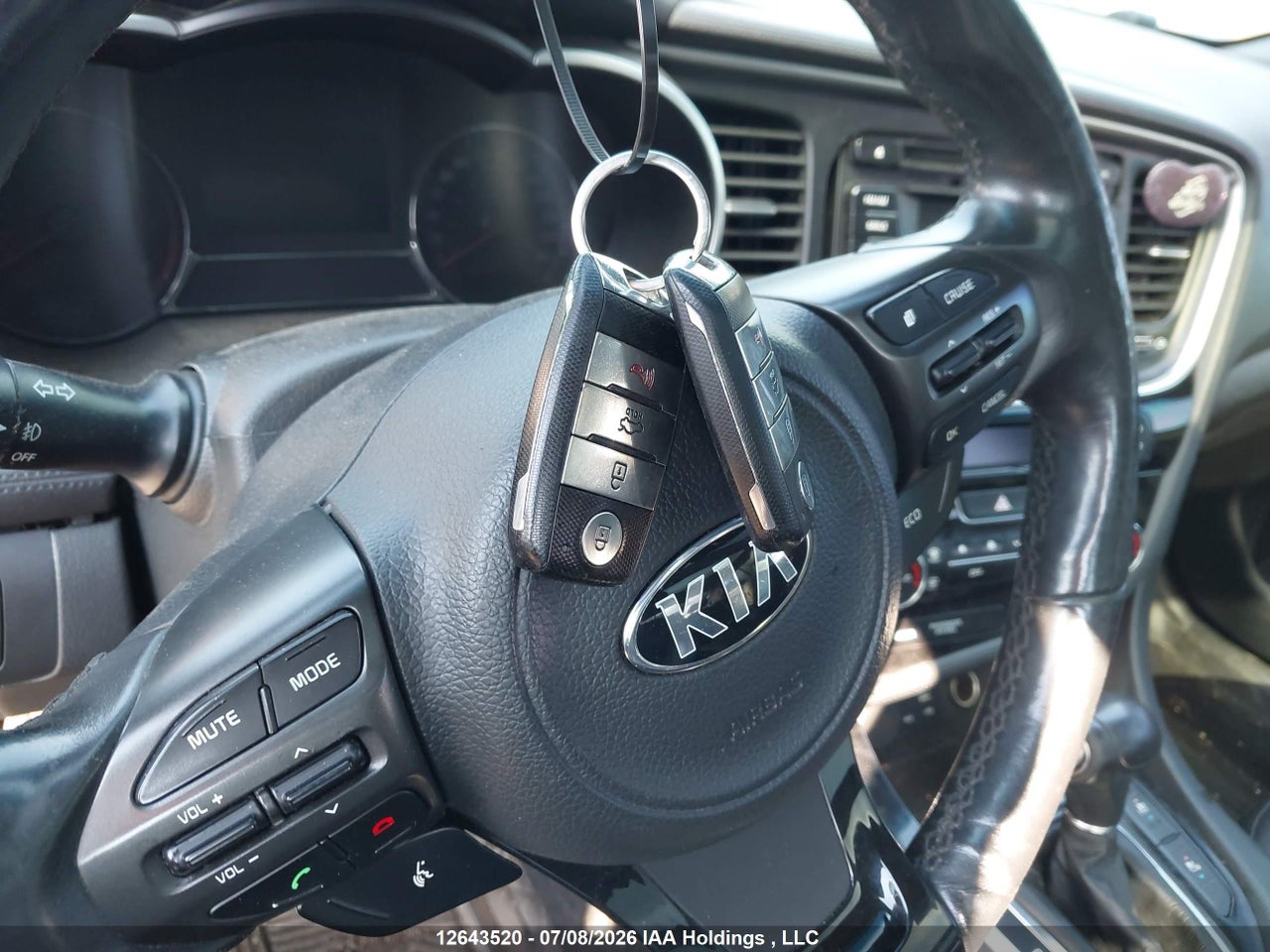 2015 KIA OPTIMA EX/EX LUXURY thumbnail 12