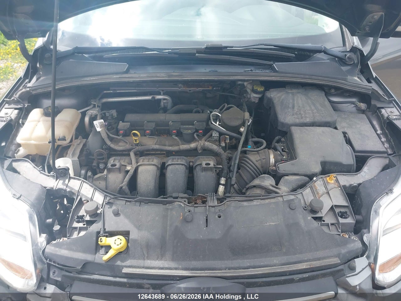 2014 FORD FOCUS SE thumbnail 11