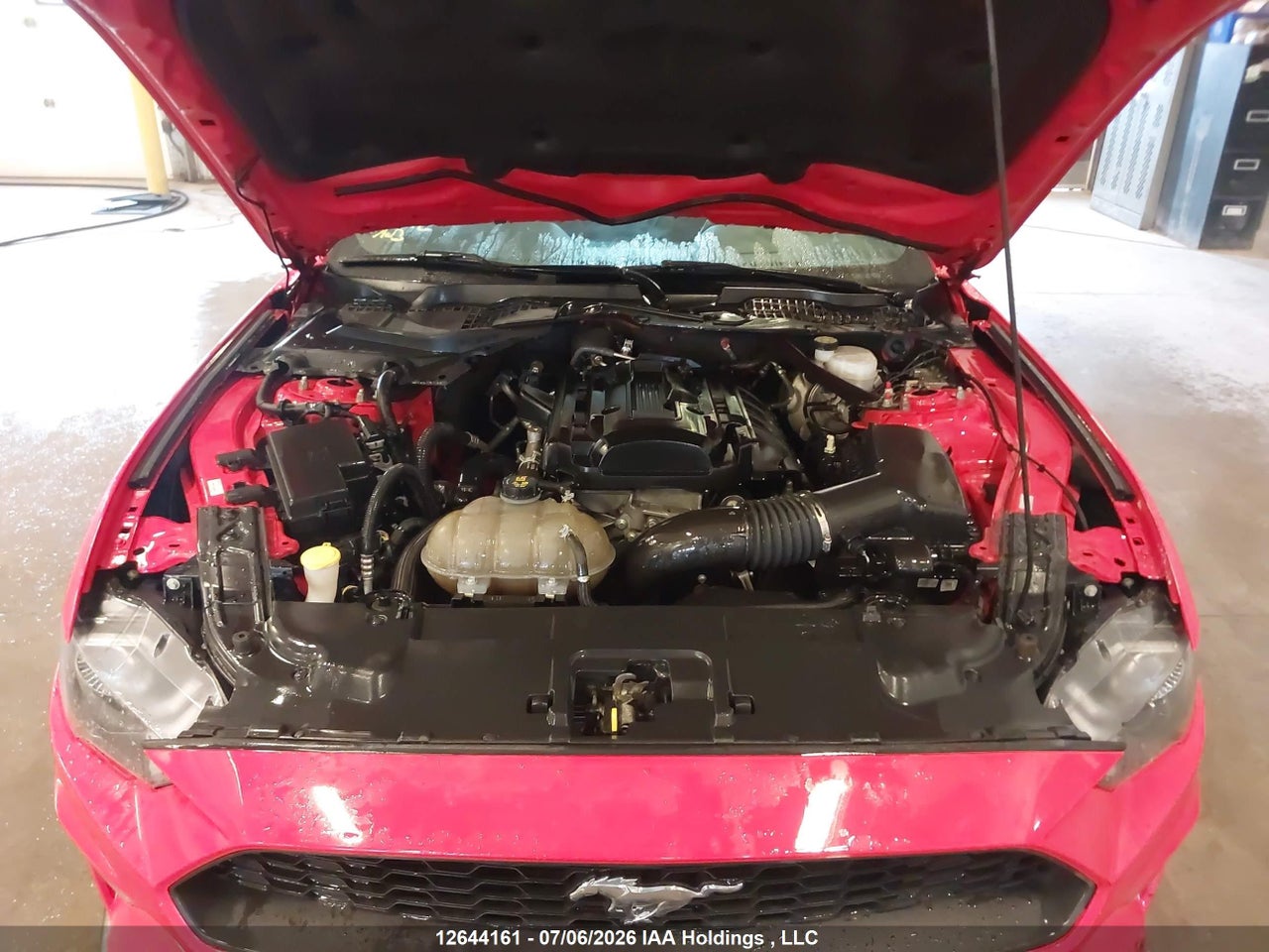 2018 FORD MUSTANG thumbnail 11