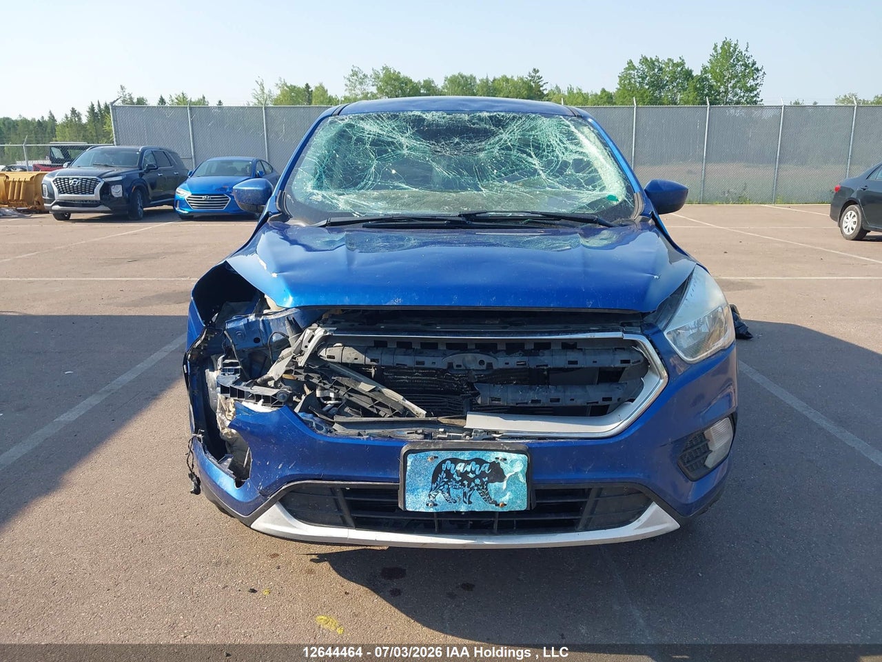 2019 FORD ESCAPE SE thumbnail 12