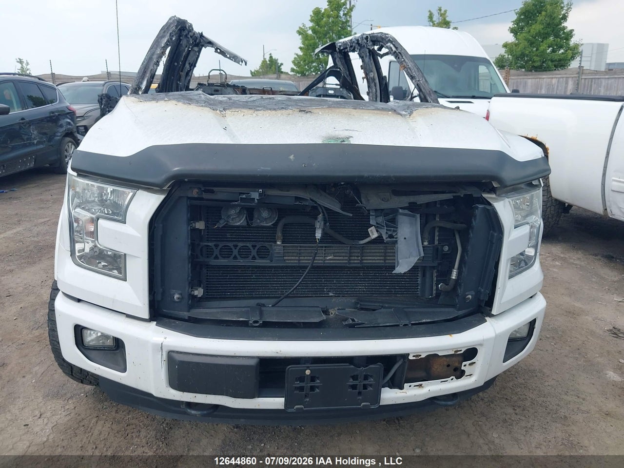2015 FORD F-150 thumbnail 12