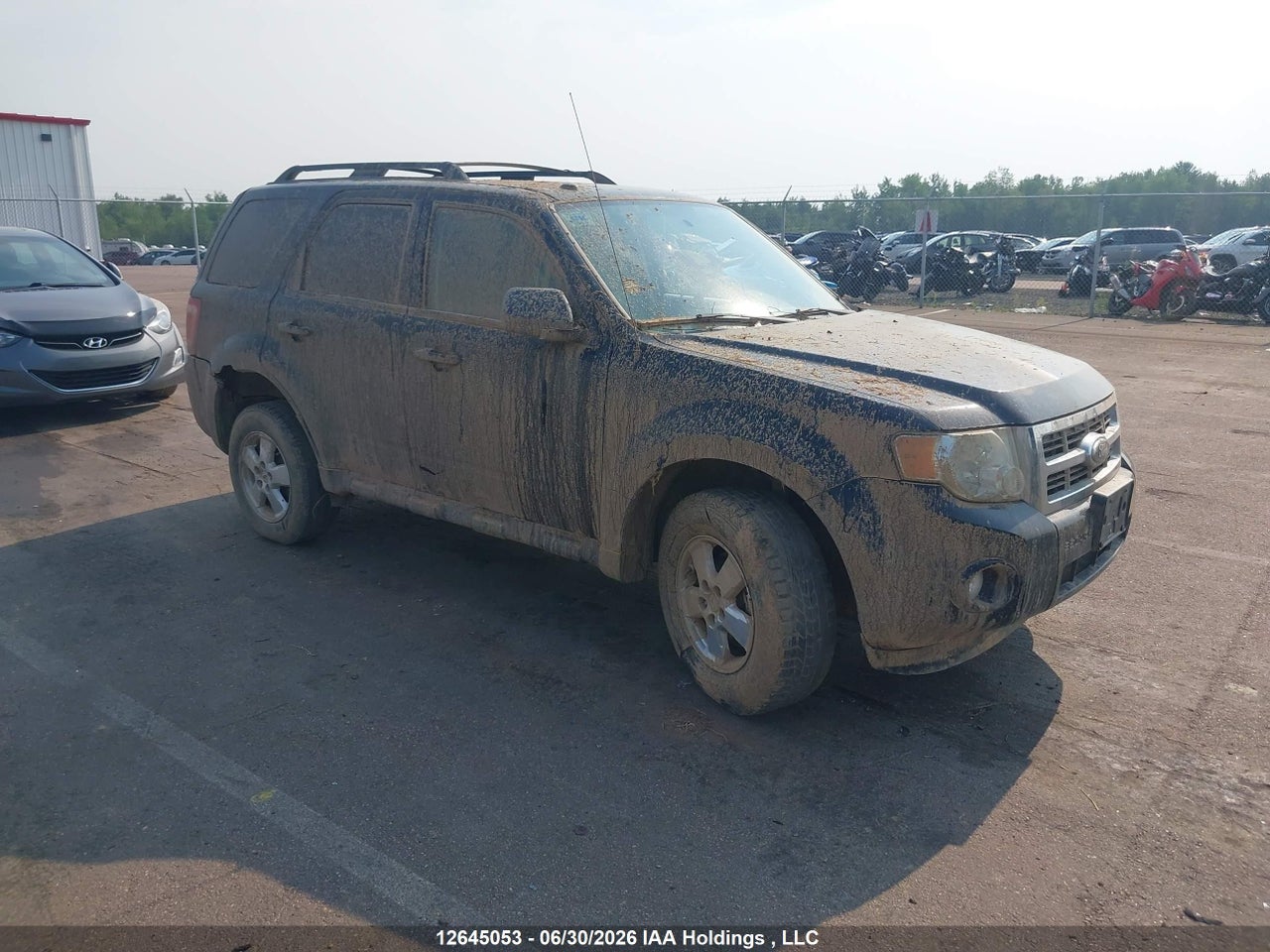2010 FORD ESCAPE XLT thumbnail 2