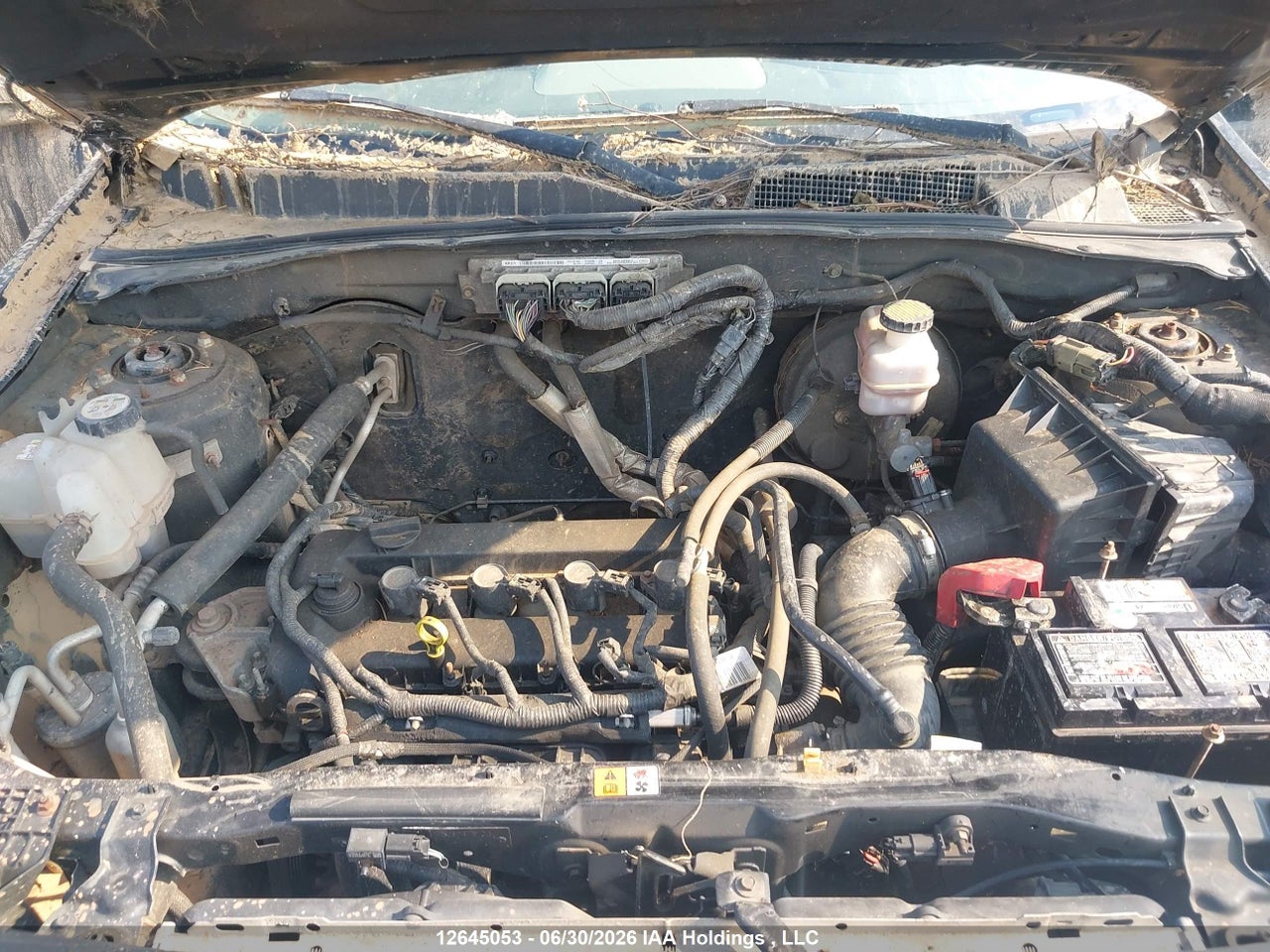 2010 FORD ESCAPE XLT thumbnail 11
