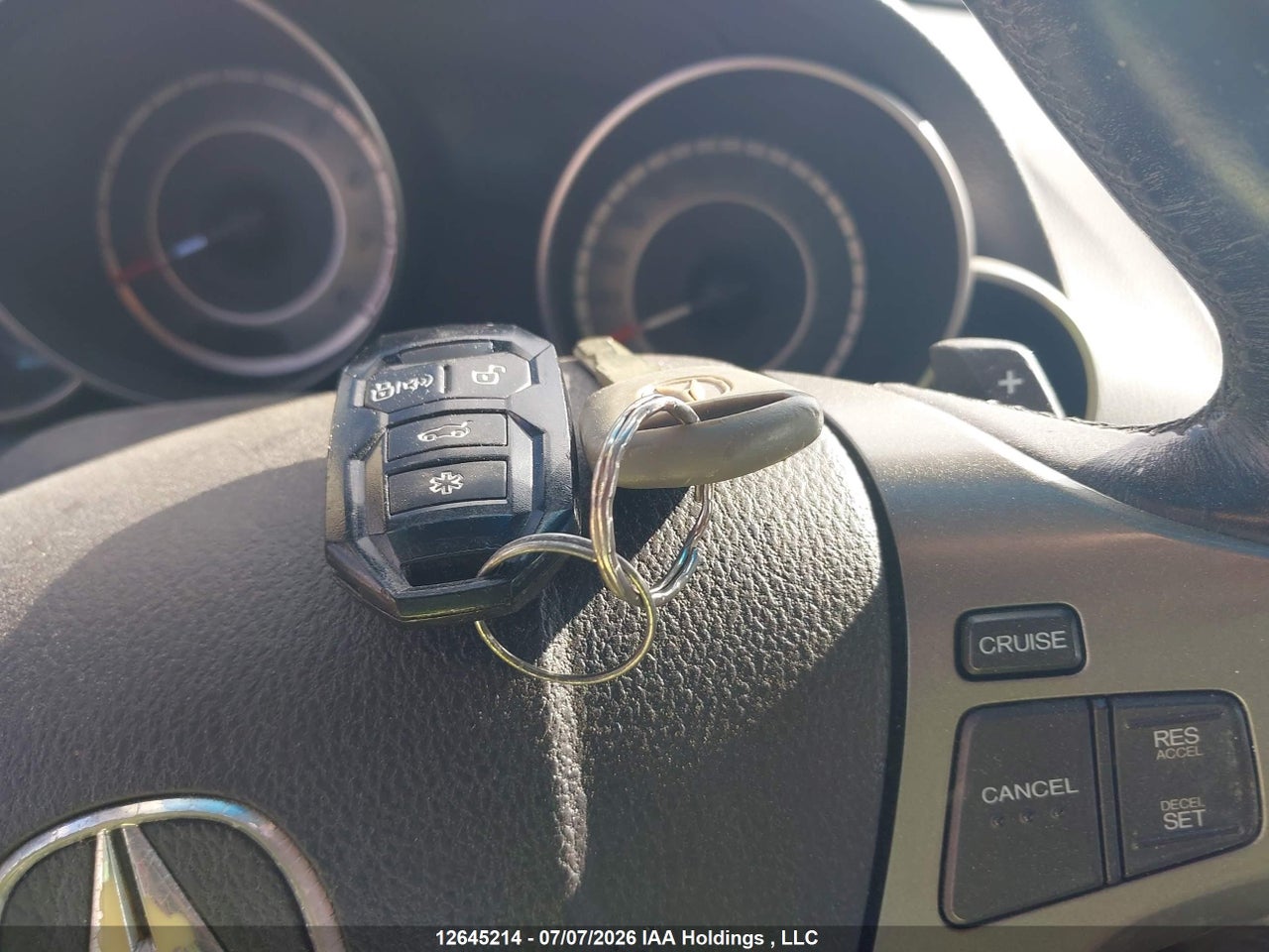 2010 ACURA MDX thumbnail 12