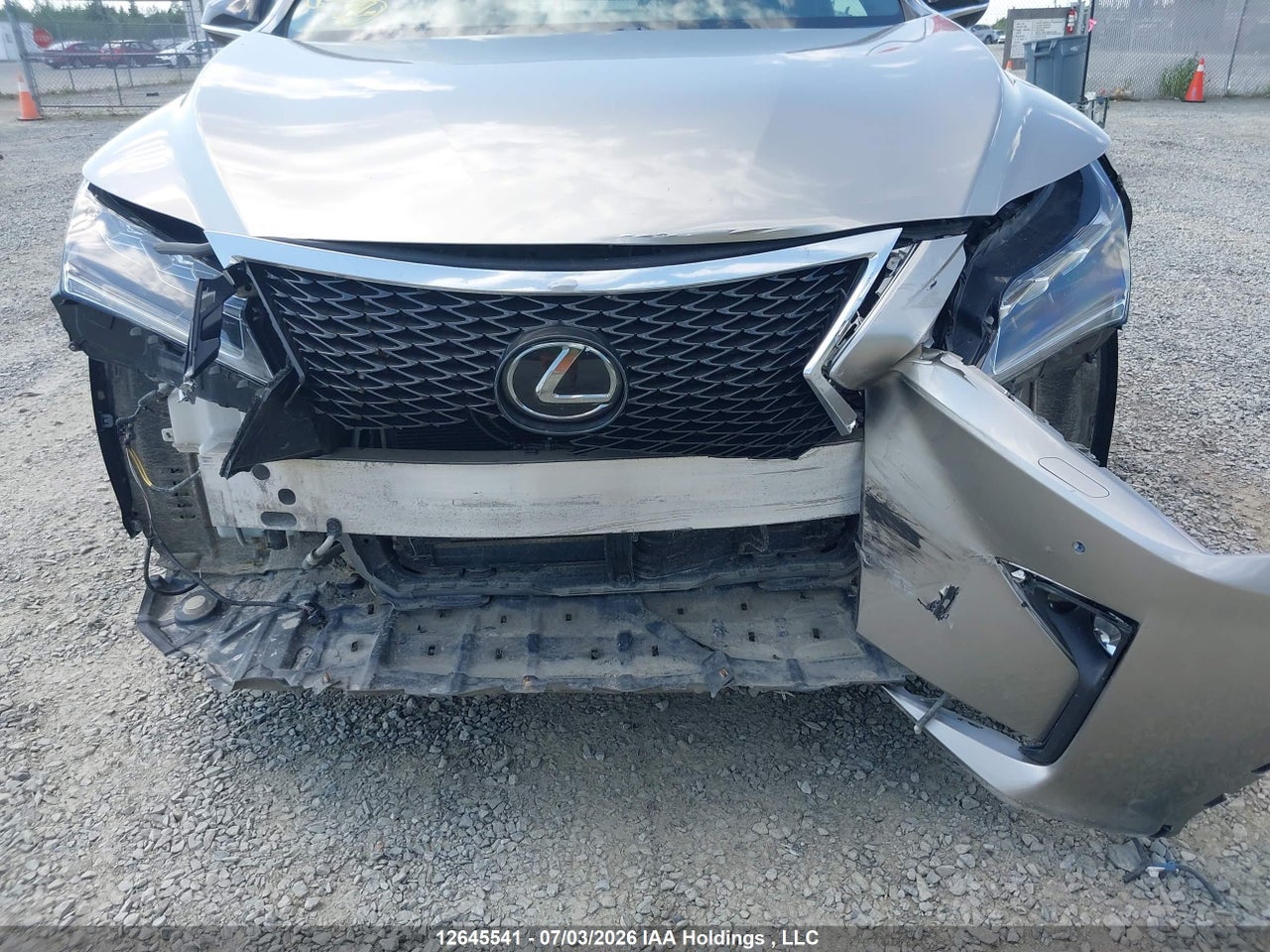 2019 LEXUS RX 350 thumbnail 7