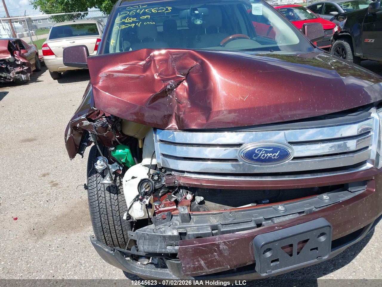 2009 FORD EDGE LIMITED thumbnail 7
