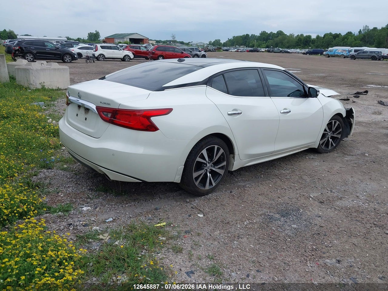 2016 NISSAN MAXIMA PLATINUM/SL/SR/SV thumbnail 5