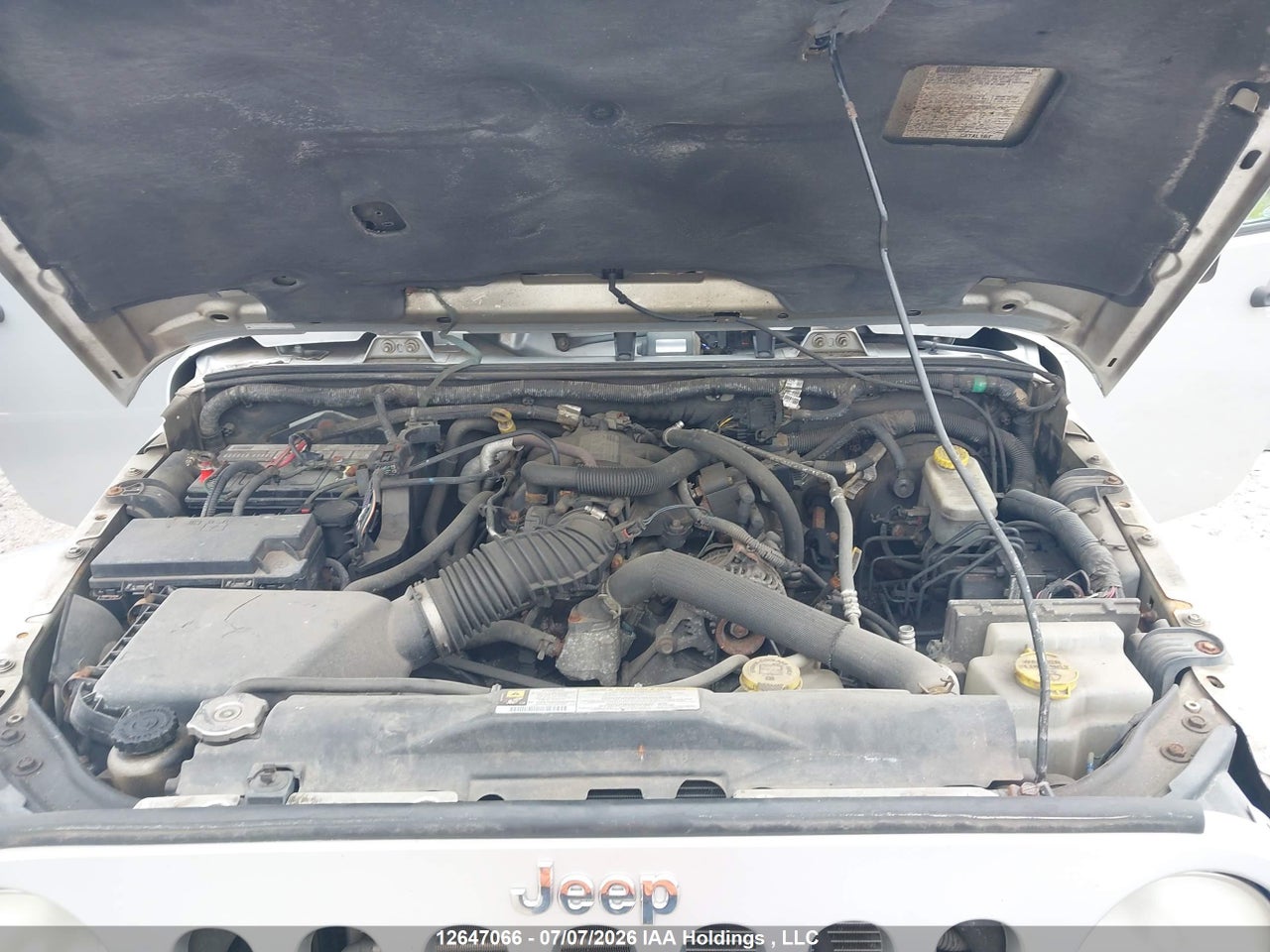 2007 JEEP TJ thumbnail 11