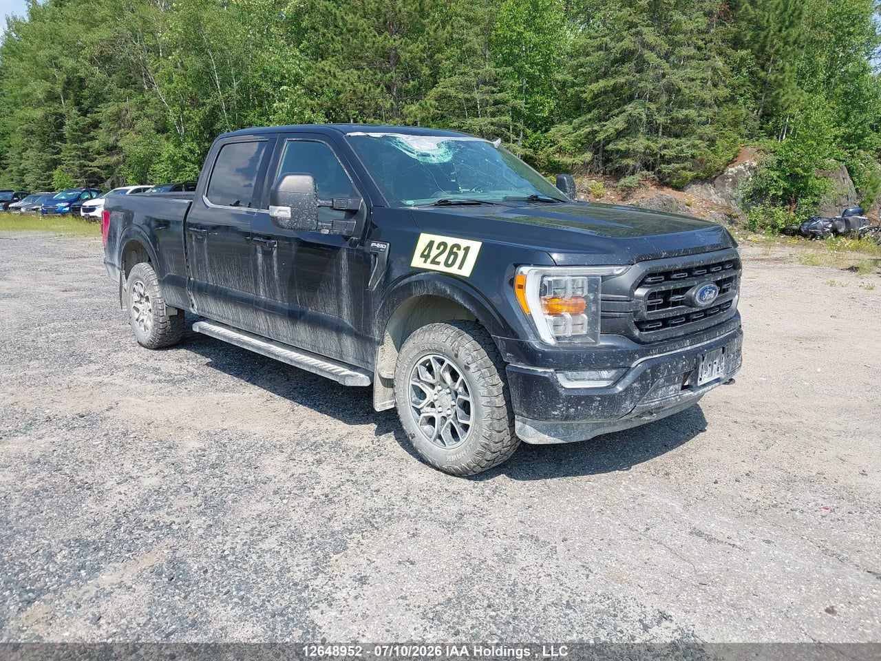 2021 FORD F-150 KING RANCH/LARIAT/PLATINUM/XL/XLT thumbnail 2