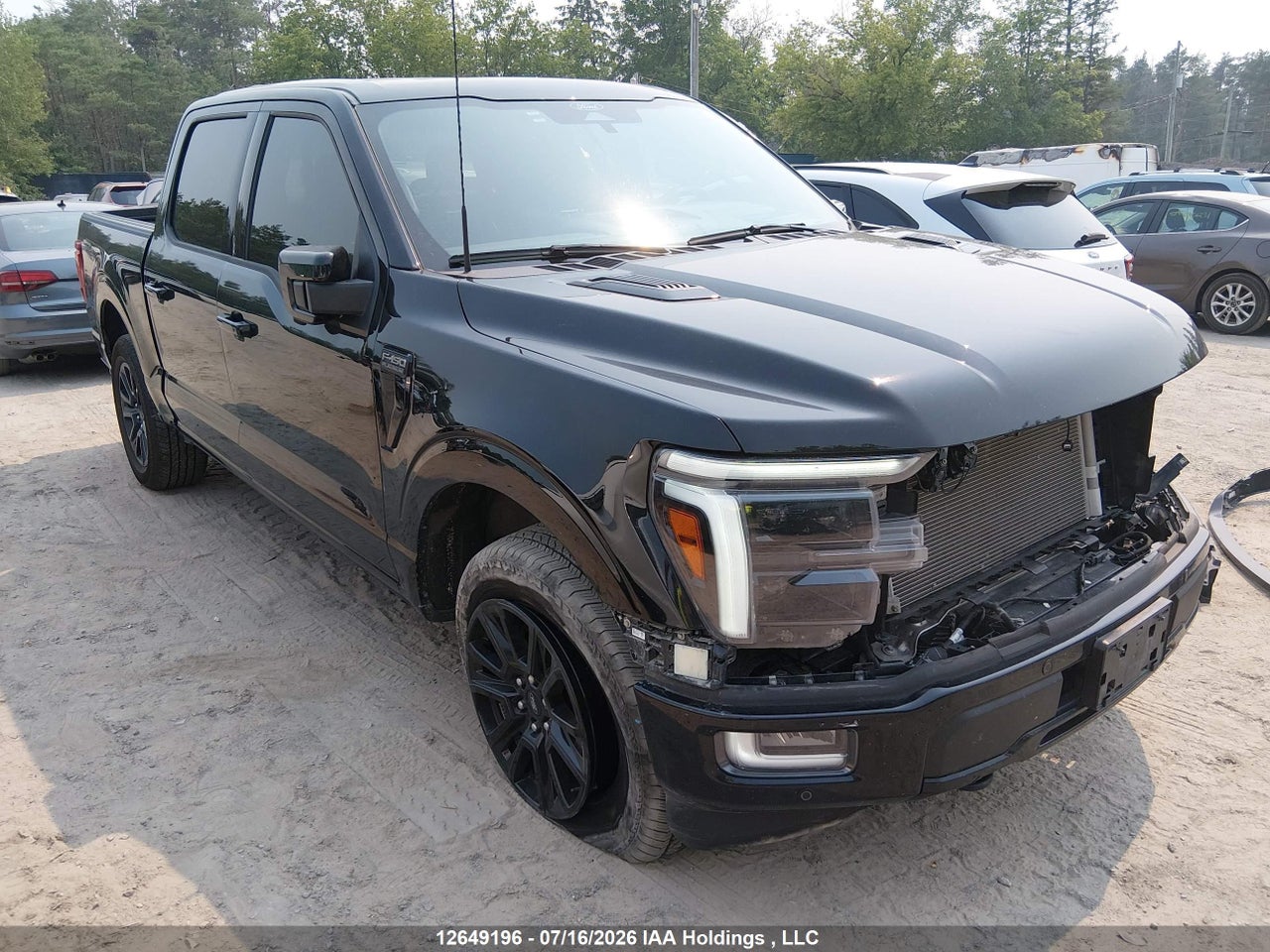 2024 FORD F-150 PLATINUM thumbnail 2