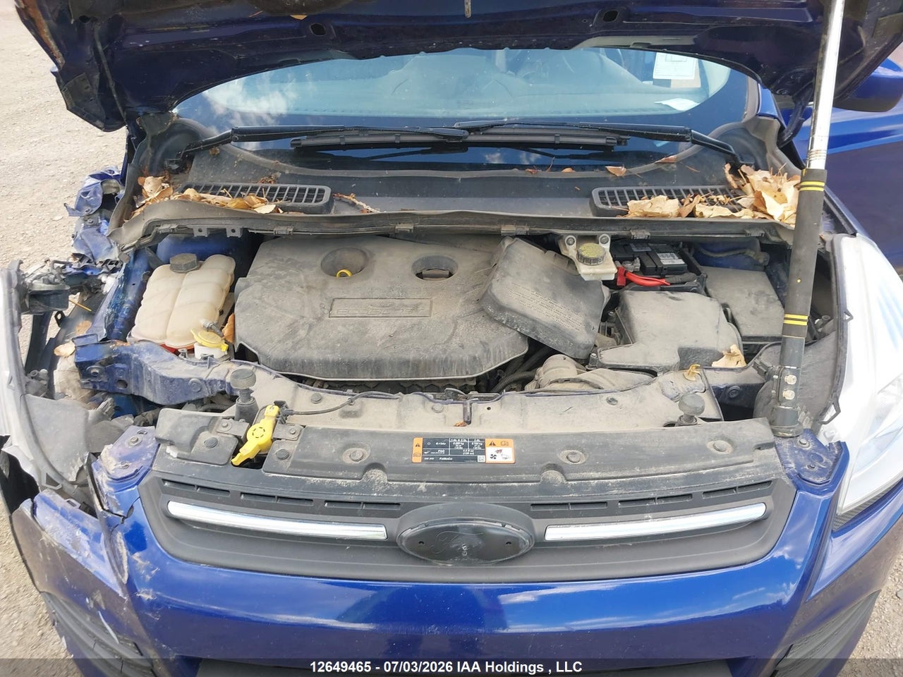 2015 FORD ESCAPE SE thumbnail 11