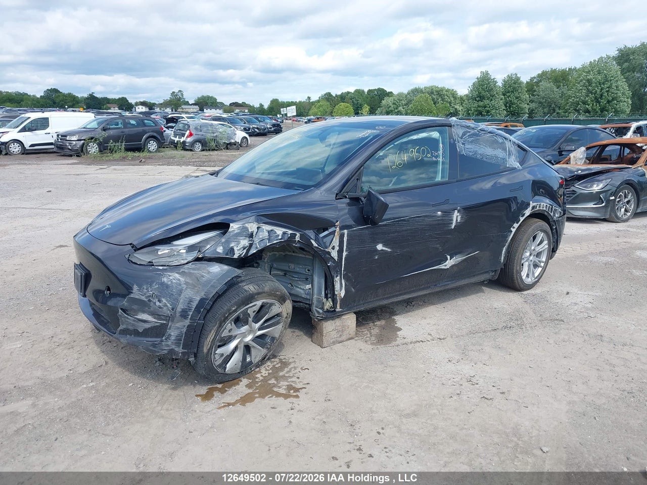 2024 TESLA MODEL Y thumbnail 7