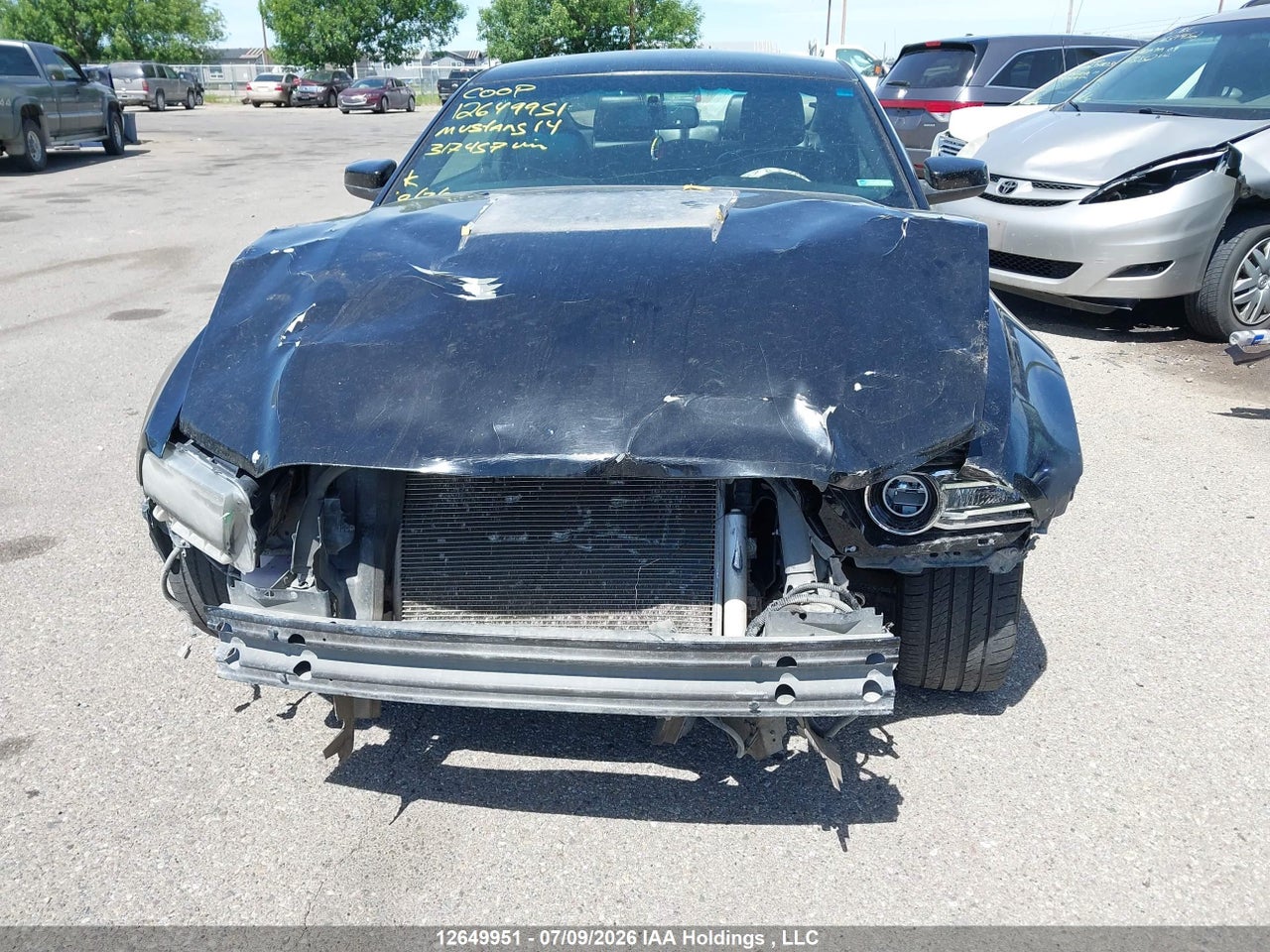 2014 FORD MUSTANG V6/V6 PREMIUM thumbnail 7