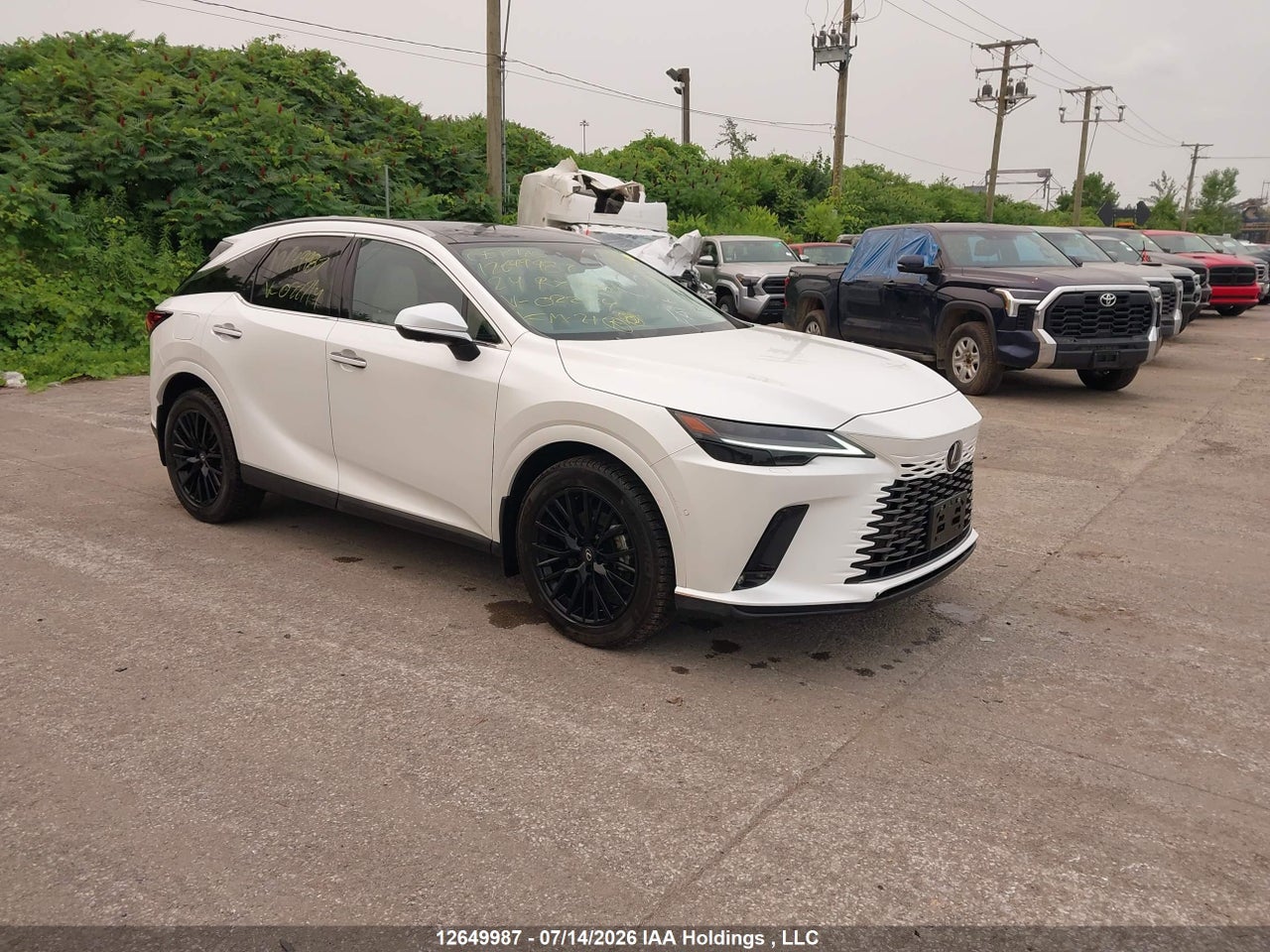 2024 LEXUS RX 450H+ LUXURY thumbnail 2