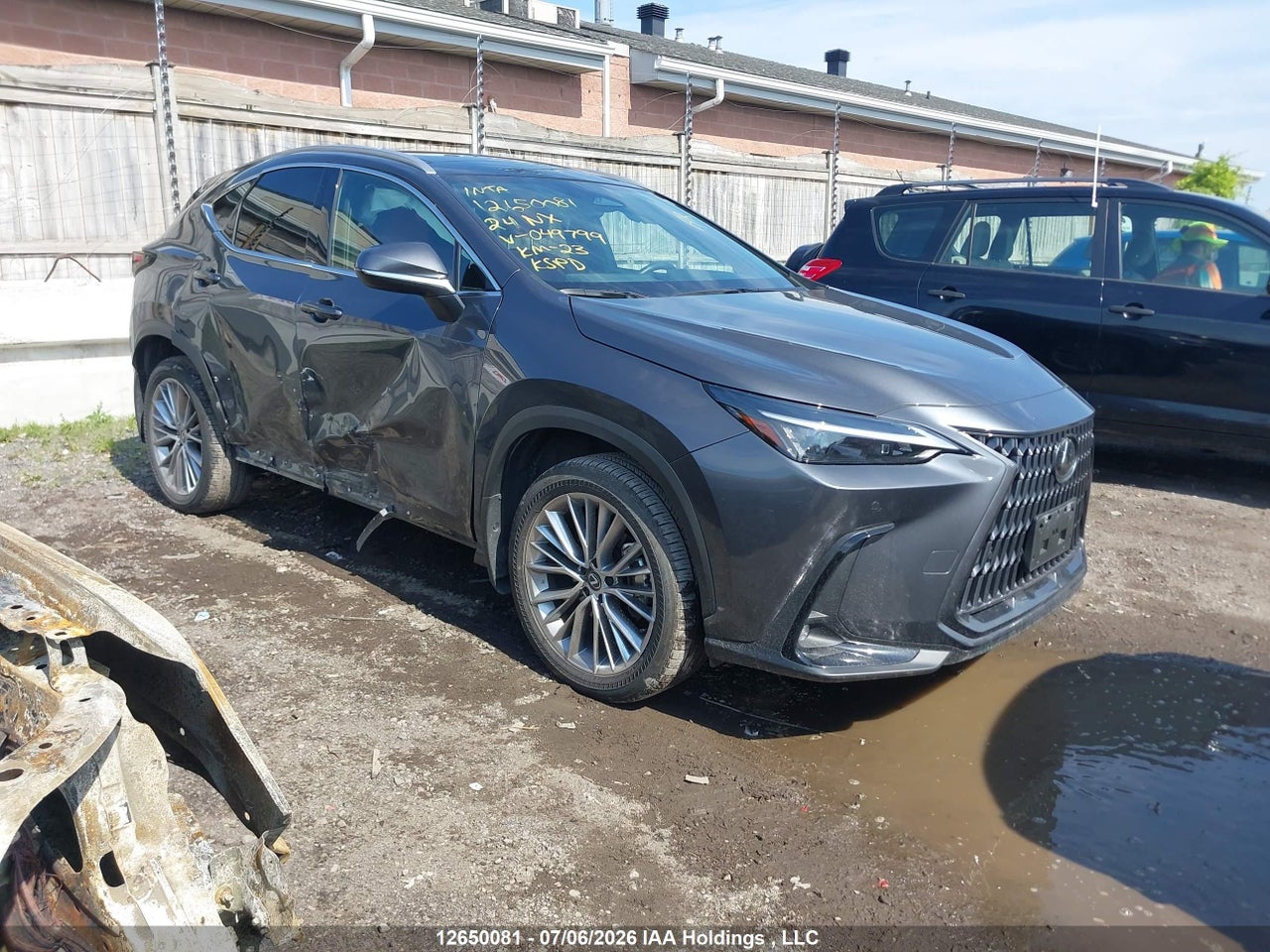 2024 LEXUS NX 350 thumbnail 2