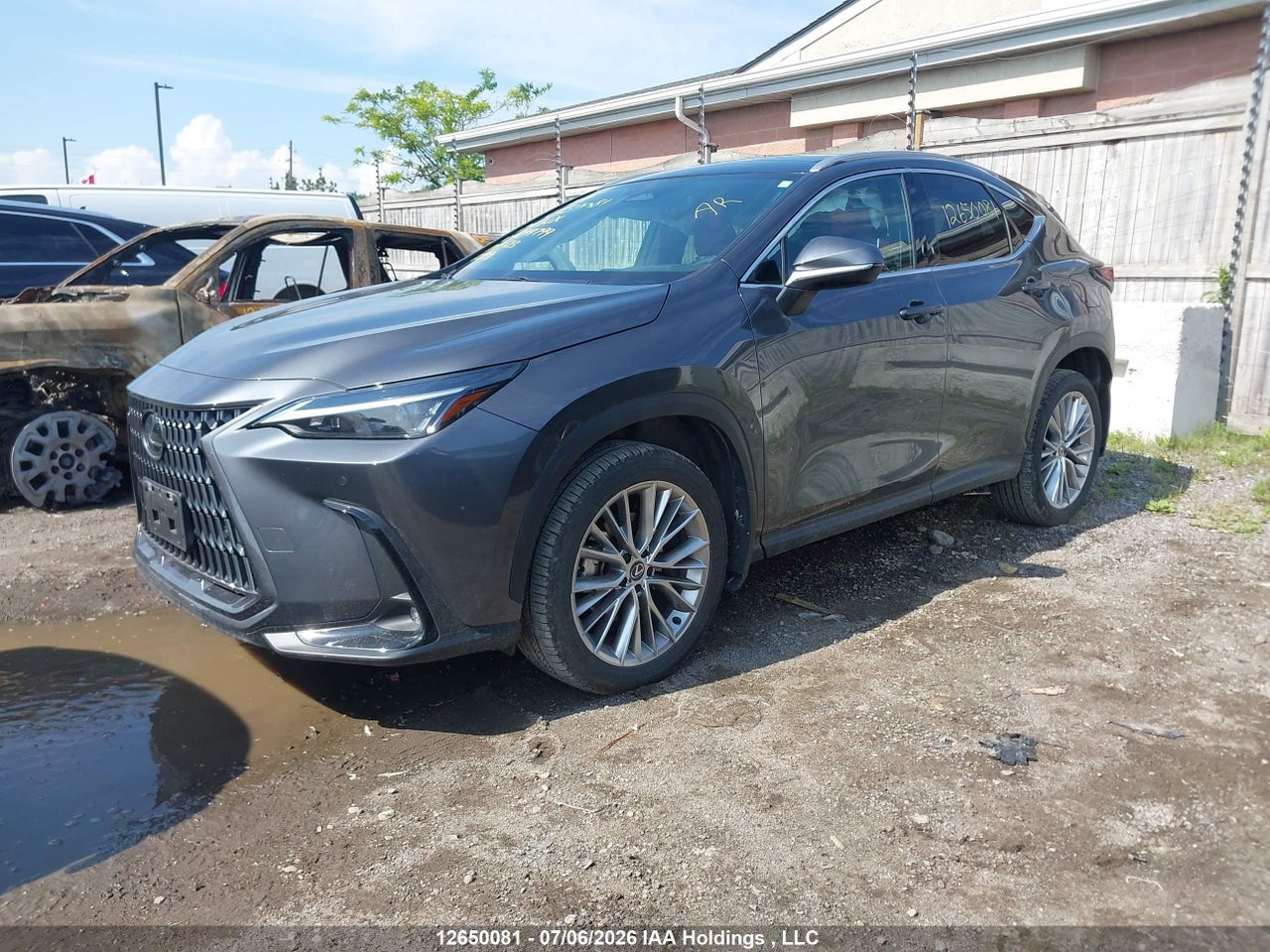 2024 LEXUS NX 350 thumbnail 3