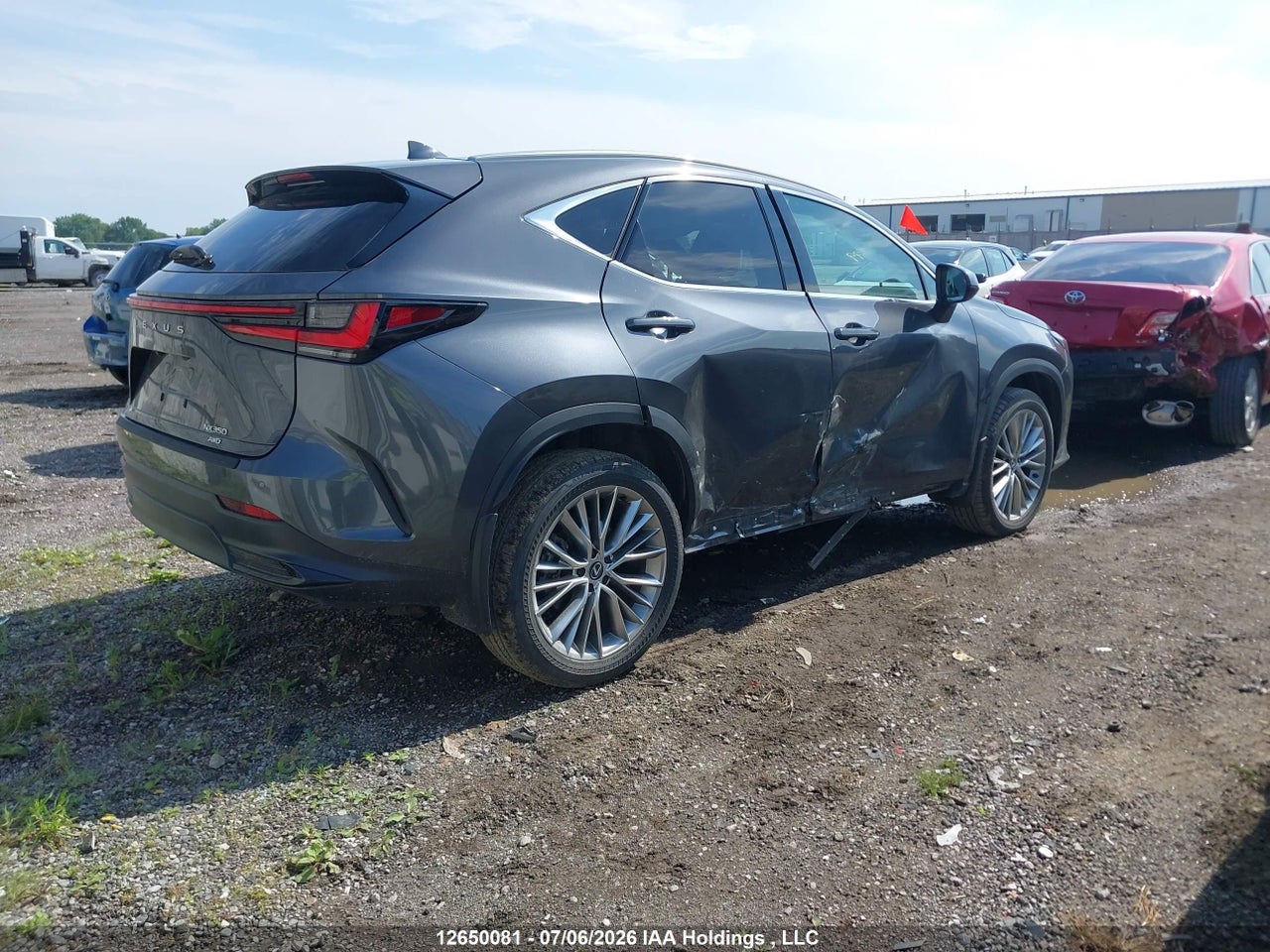 2024 LEXUS NX 350 thumbnail 5