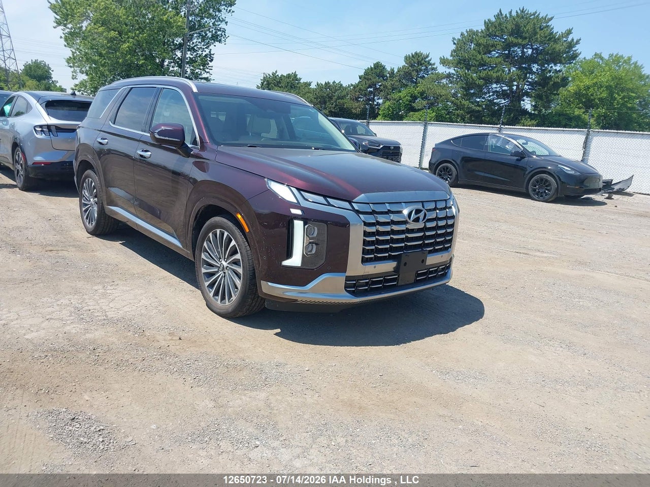 2025 HYUNDAI PALISADE ULTIMATE CALLIGRAPHY thumbnail 2