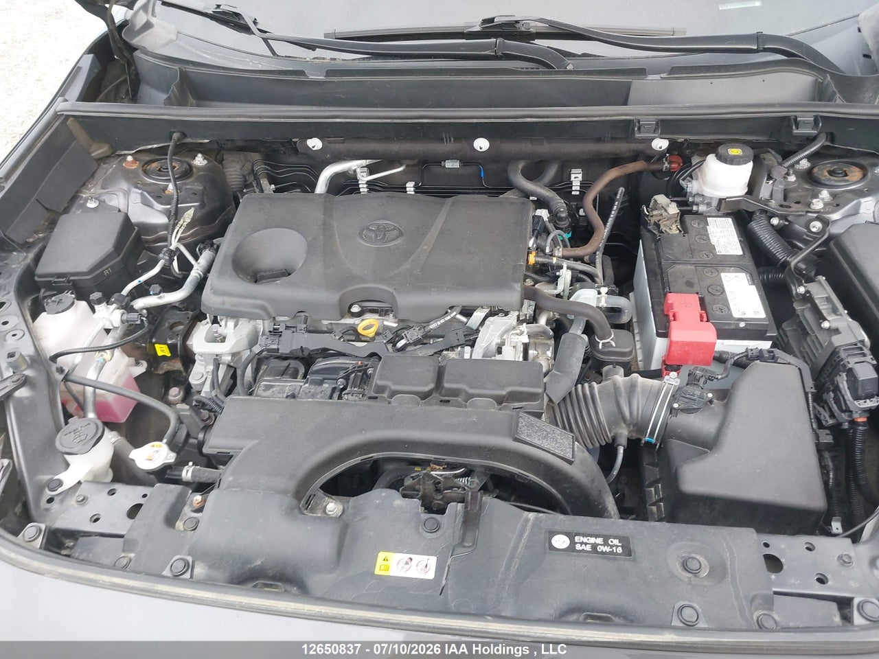 2021 TOYOTA RAV4 LE thumbnail 11