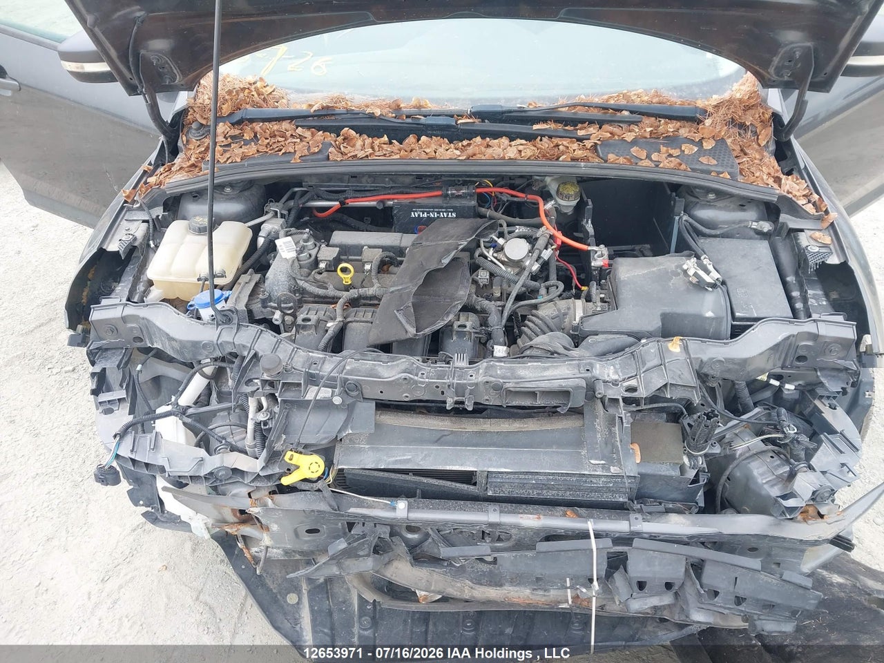 2016 FORD FOCUS SE thumbnail 11