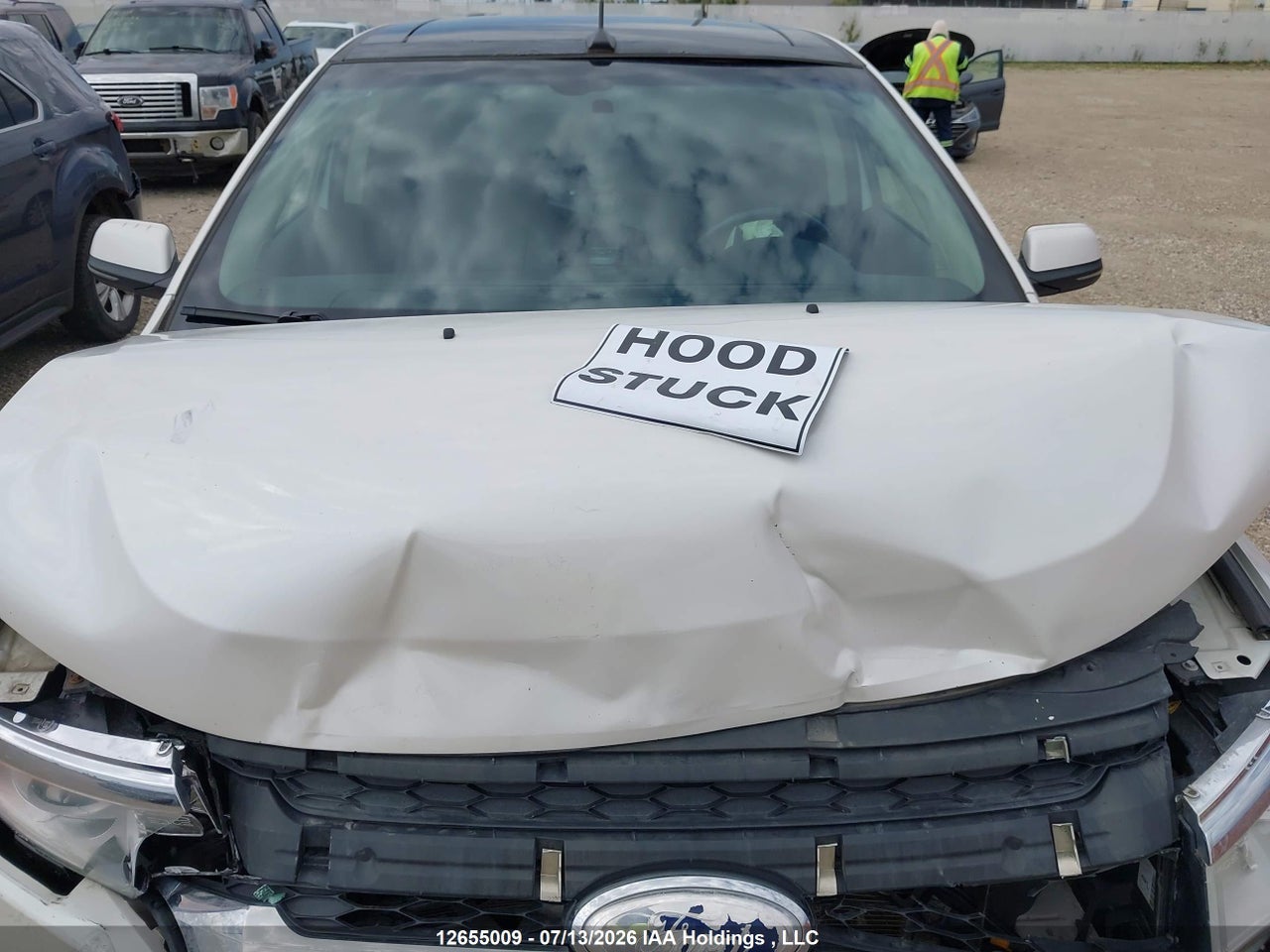 2013 FORD EDGE LIMITED thumbnail 11