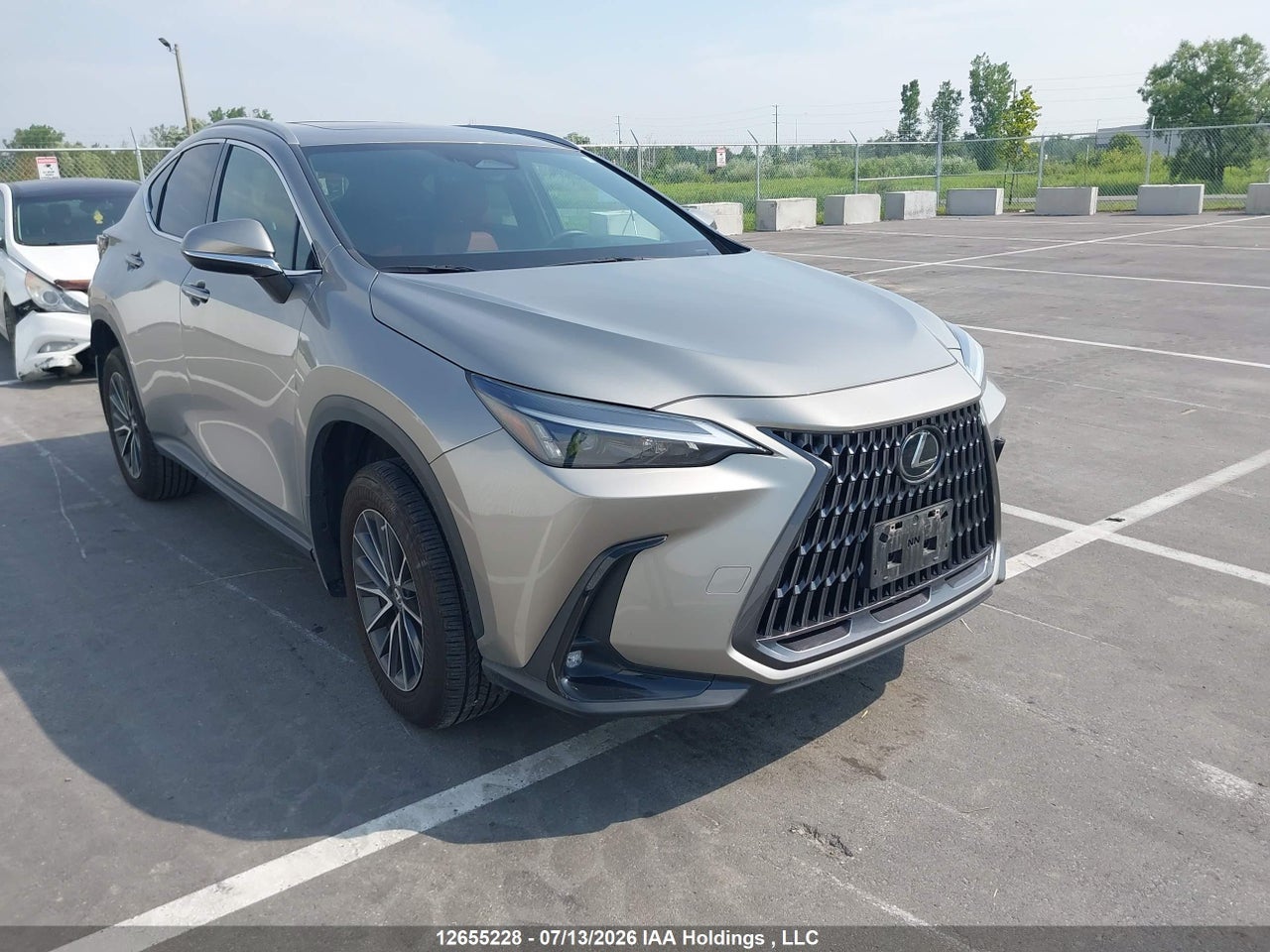2024 LEXUS NX 350 thumbnail 2