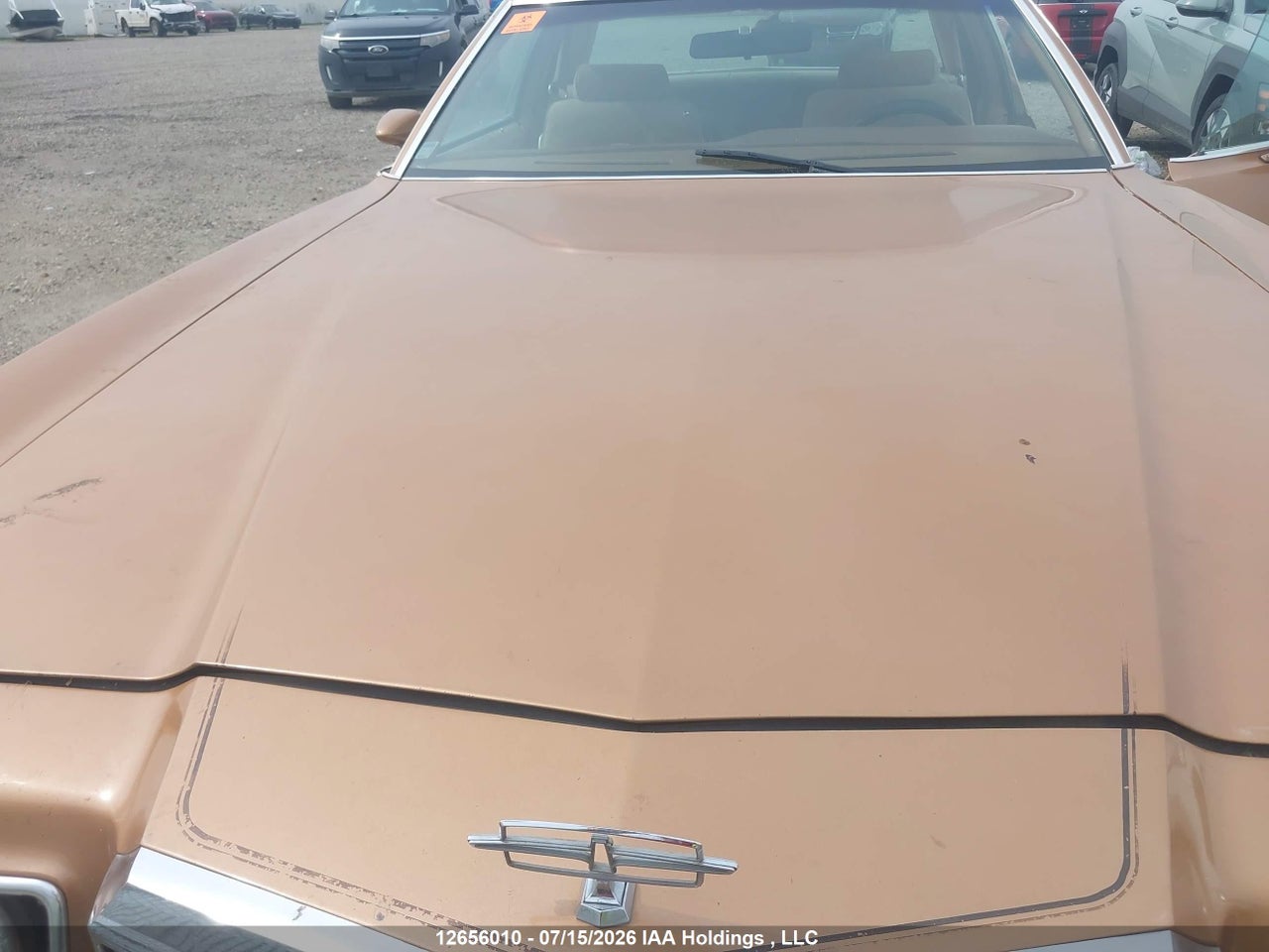 1979 FORD THUNDERBIRD thumbnail 11