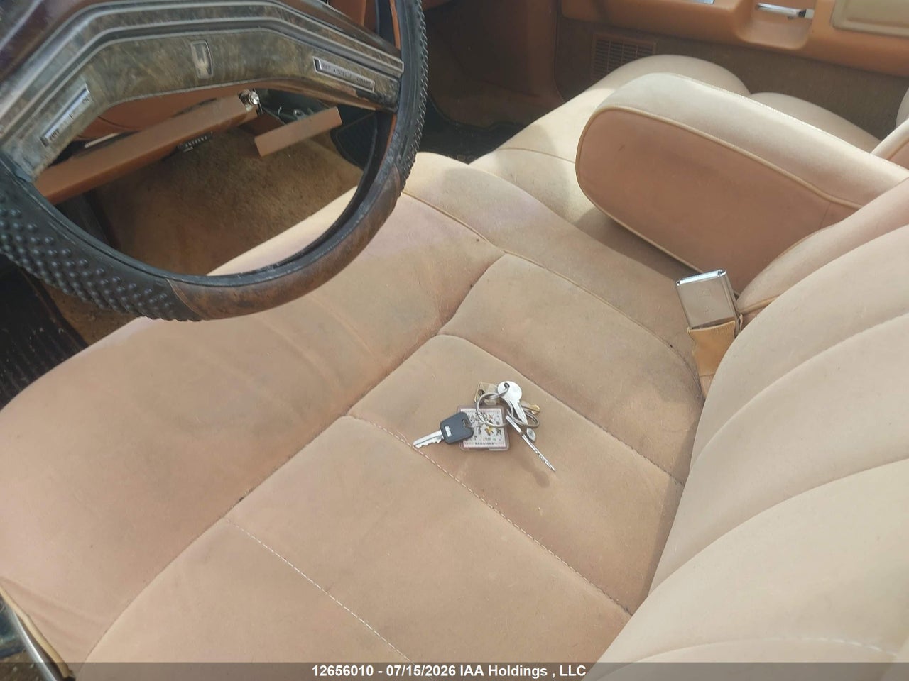 1979 FORD THUNDERBIRD thumbnail 12