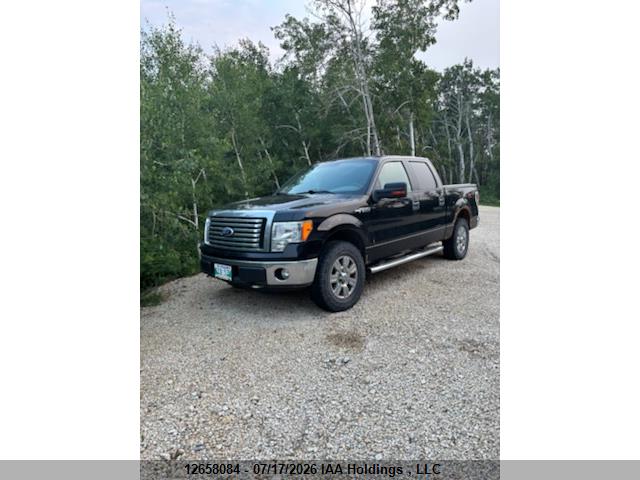 2010 FORD F150 SUPERCREW thumbnail 8