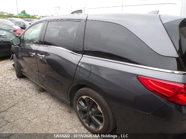 2024 HONDA ODYSSEY TOURING thumbnail 7