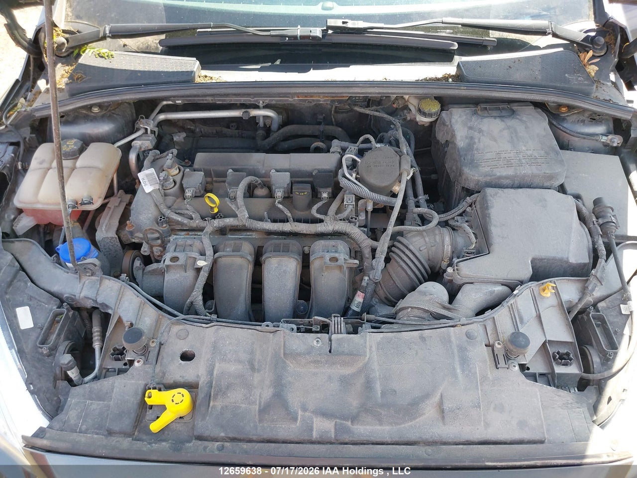 2015 FORD FOCUS SE thumbnail 10