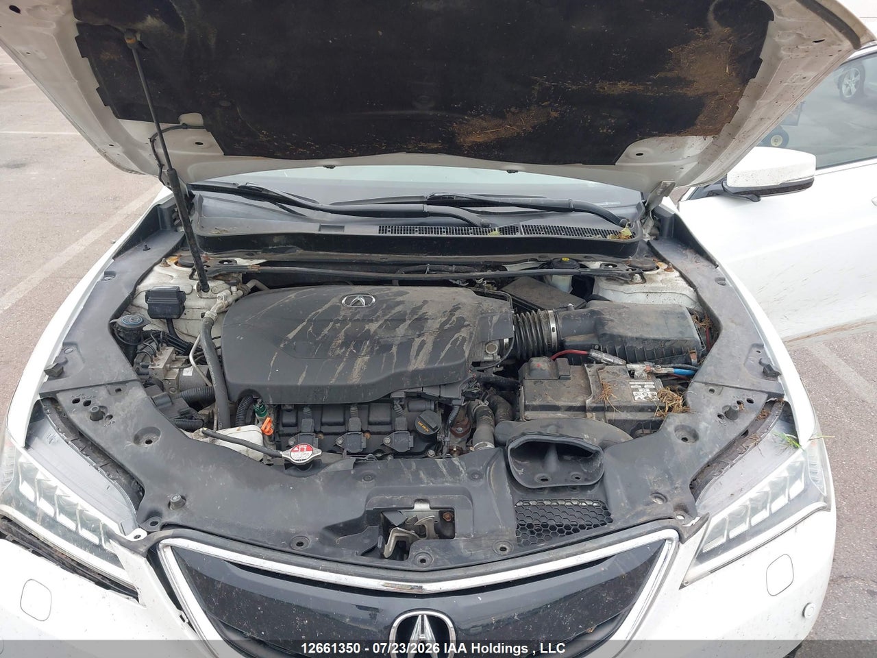 2015 ACURA TLX ADVANCE thumbnail 11
